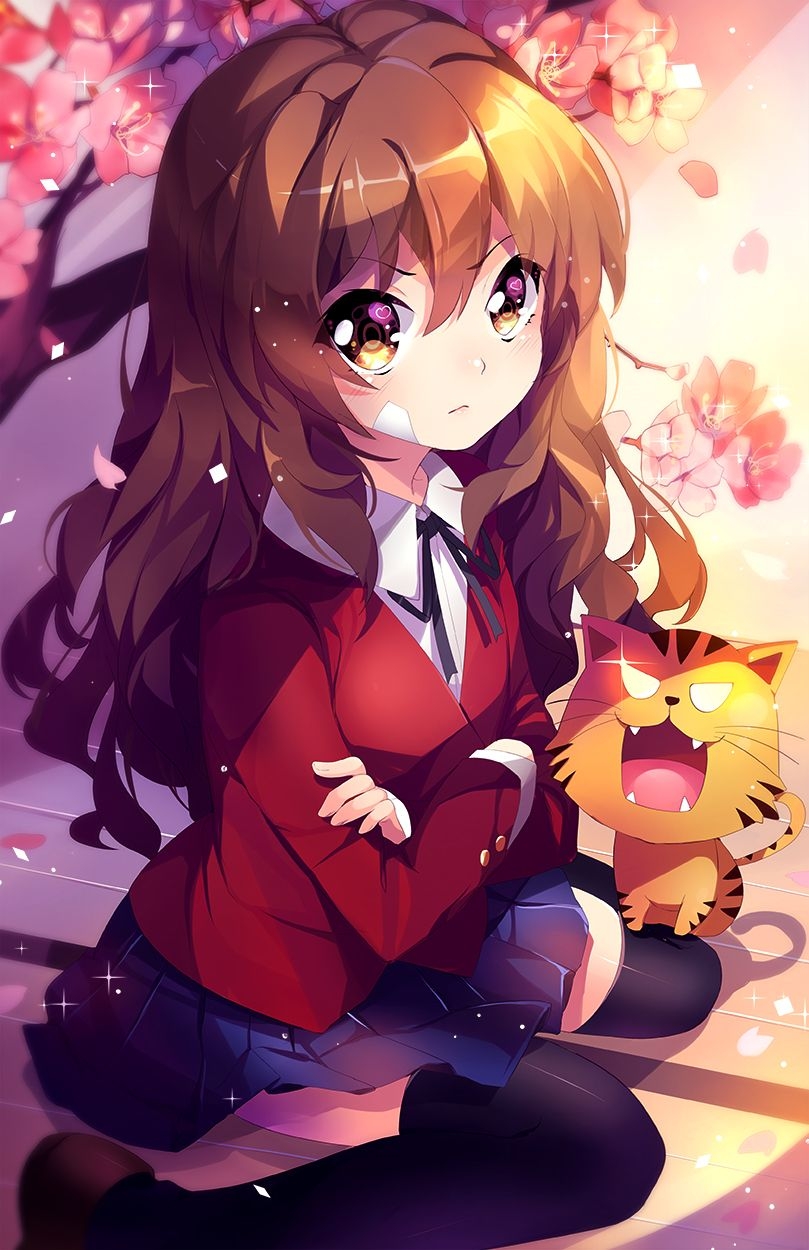 810x1250 Aisaka Taiga! Wallpaper, Phone