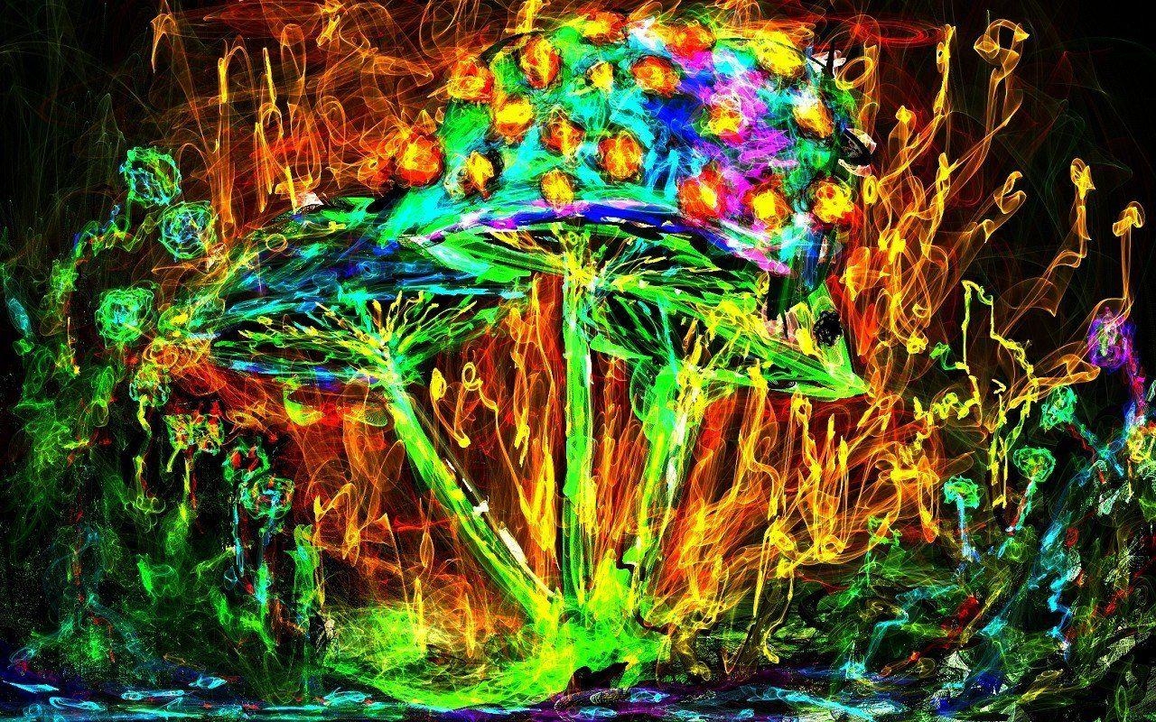 1280x800 psychedelic, Mushroom HD Wallpaper / Desktop and Mobile Image & Photo, Desktop