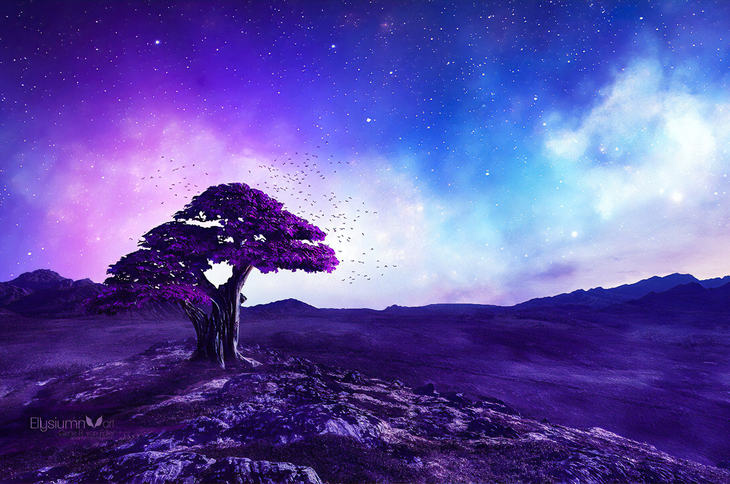 2560x1700 Purple Tree Stories Chromebook Pixel HD 4k Wallpaper, Image, Background, Photo and Picture, Desktop