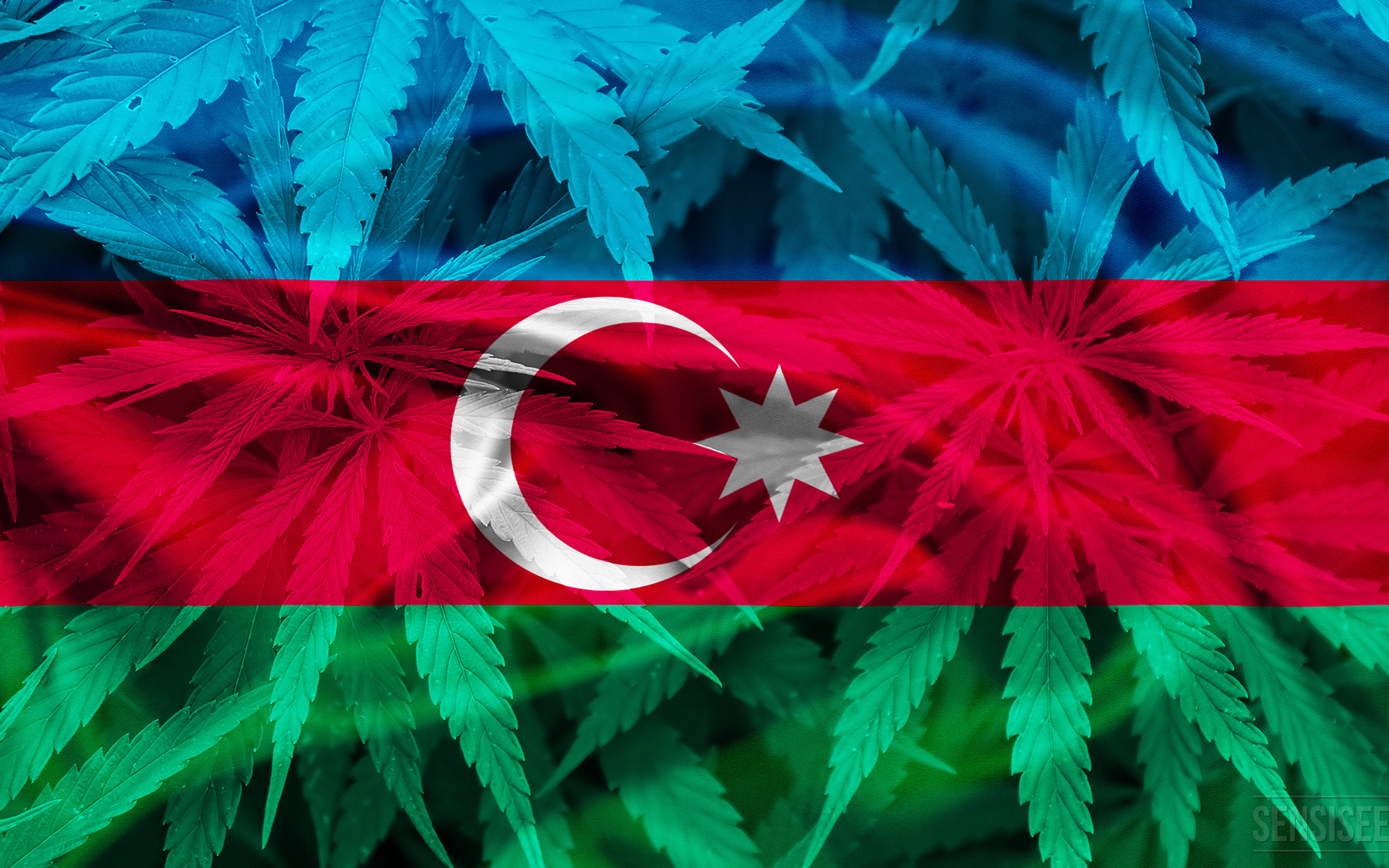 2560x1600 Photo Of Azerbaijan, Cannabis In Azerbaijan, Cannabis, Desktop