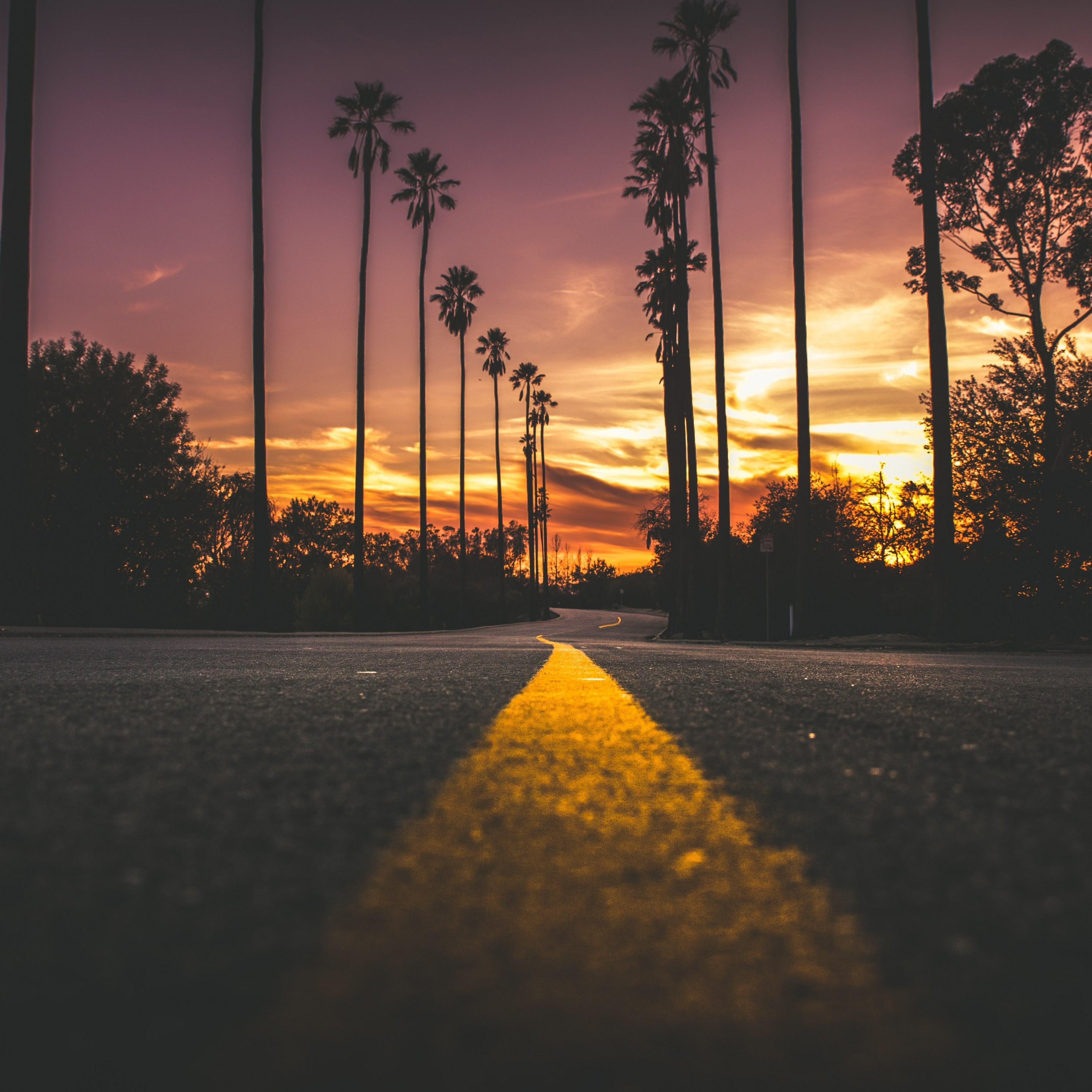 3000x3000 Download  Sunset, Dawn, Road, Scenic, Trees, Travel Wallpaper, Phone