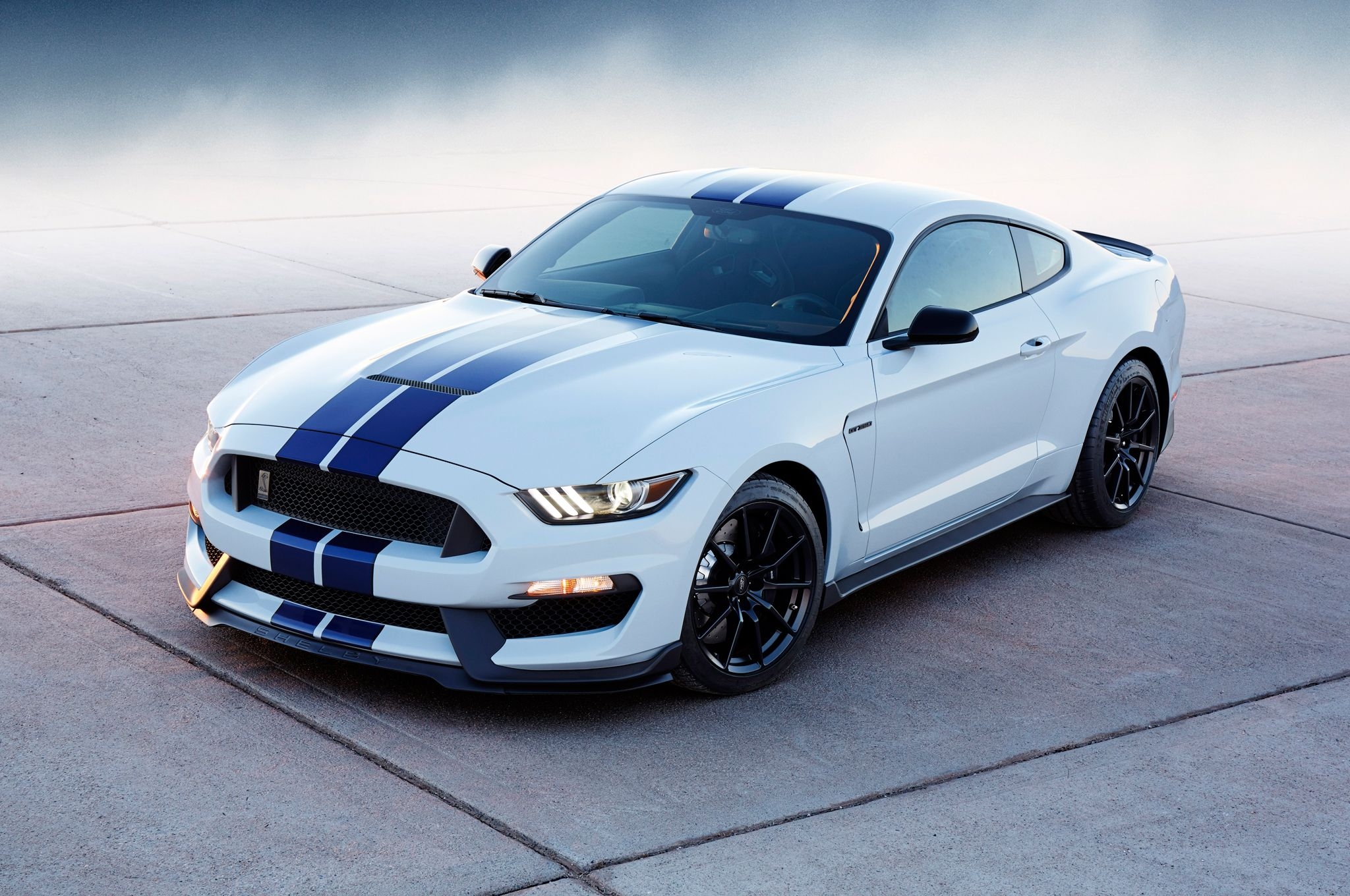 2050x1360 Shelby Wallpaper. Shelby Snake Wallpaper, Desktop