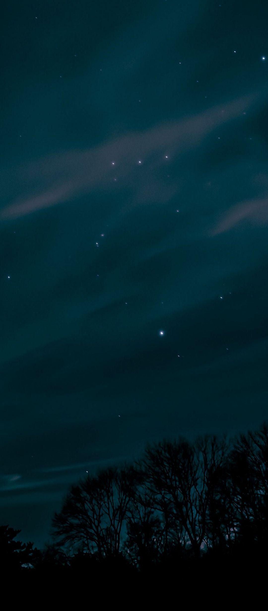 1080x2460 Night Sky Stars Trees - [], Phone