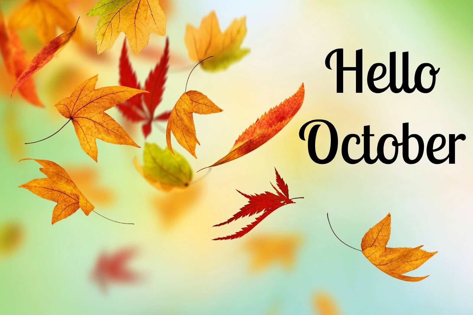 1600x1070 Hello October Fall Quotes Wallpaper Free Hello October Fall Quotes Background, Desktop