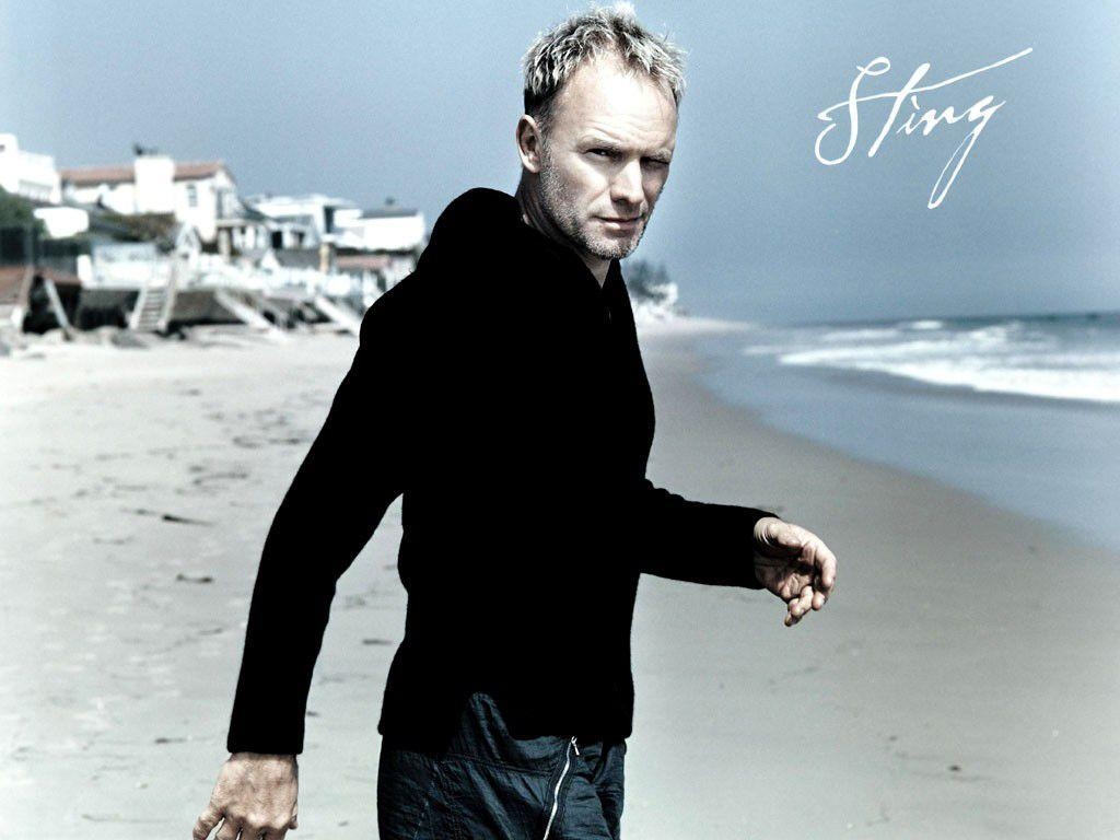 1030x770 Sting Music, Desktop