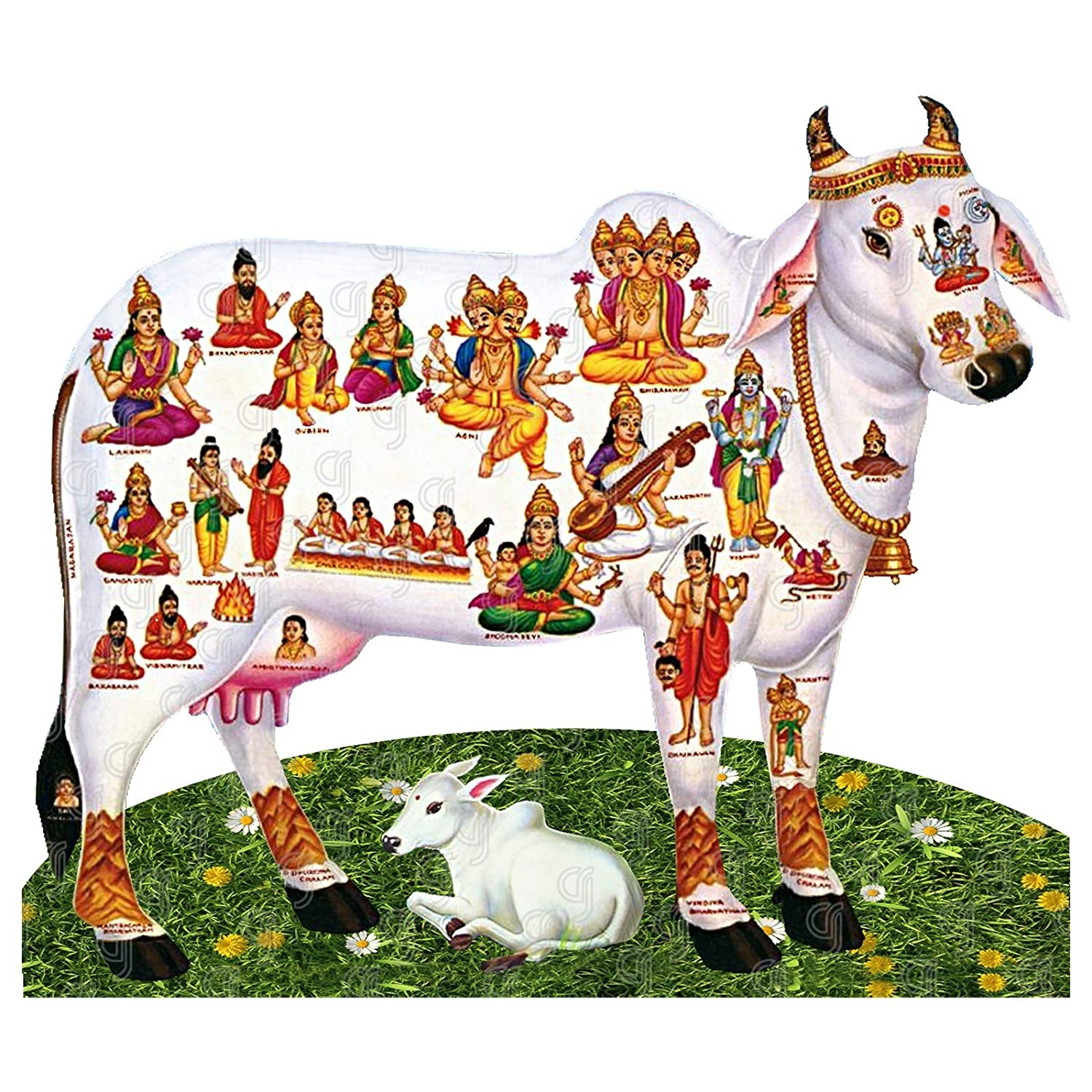 1500x1500 Buy Giriram Photo Wooden Cutout (6 x 4 Inches) Online at Low Prices in India, Phone