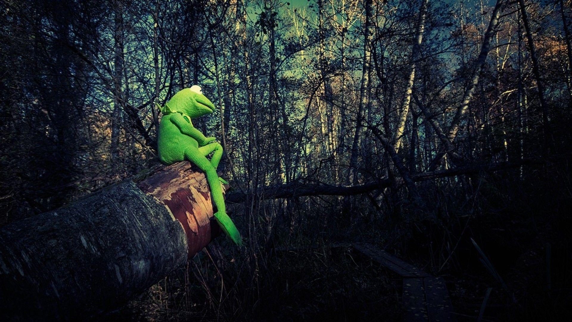 1920x1080 Simply: Kermit the Frog philosophy desktop bakcgrounds, Desktop