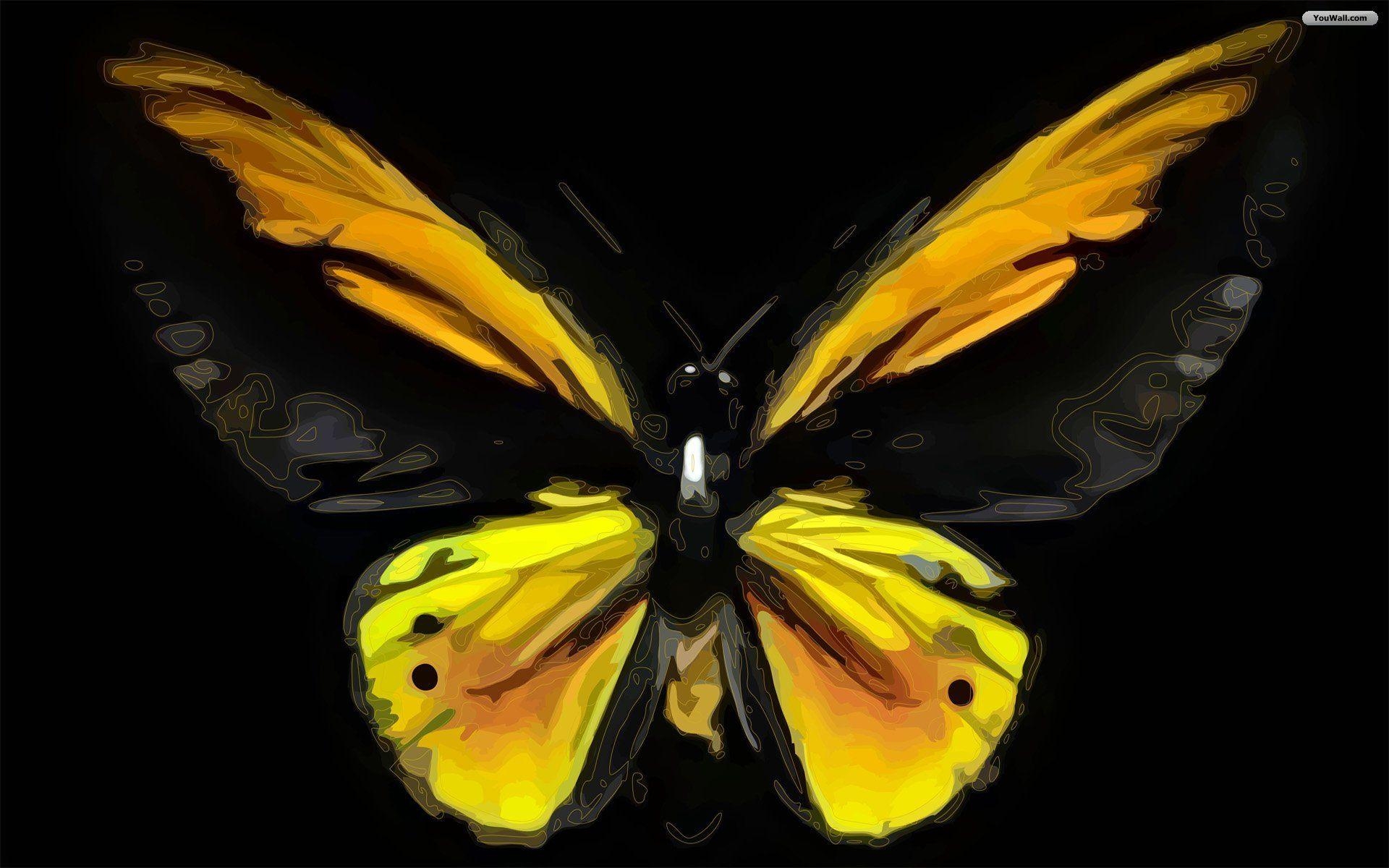 1920x1200 Butterfly Wallpaper. Piccry.com: Picture Idea Gallery, Desktop