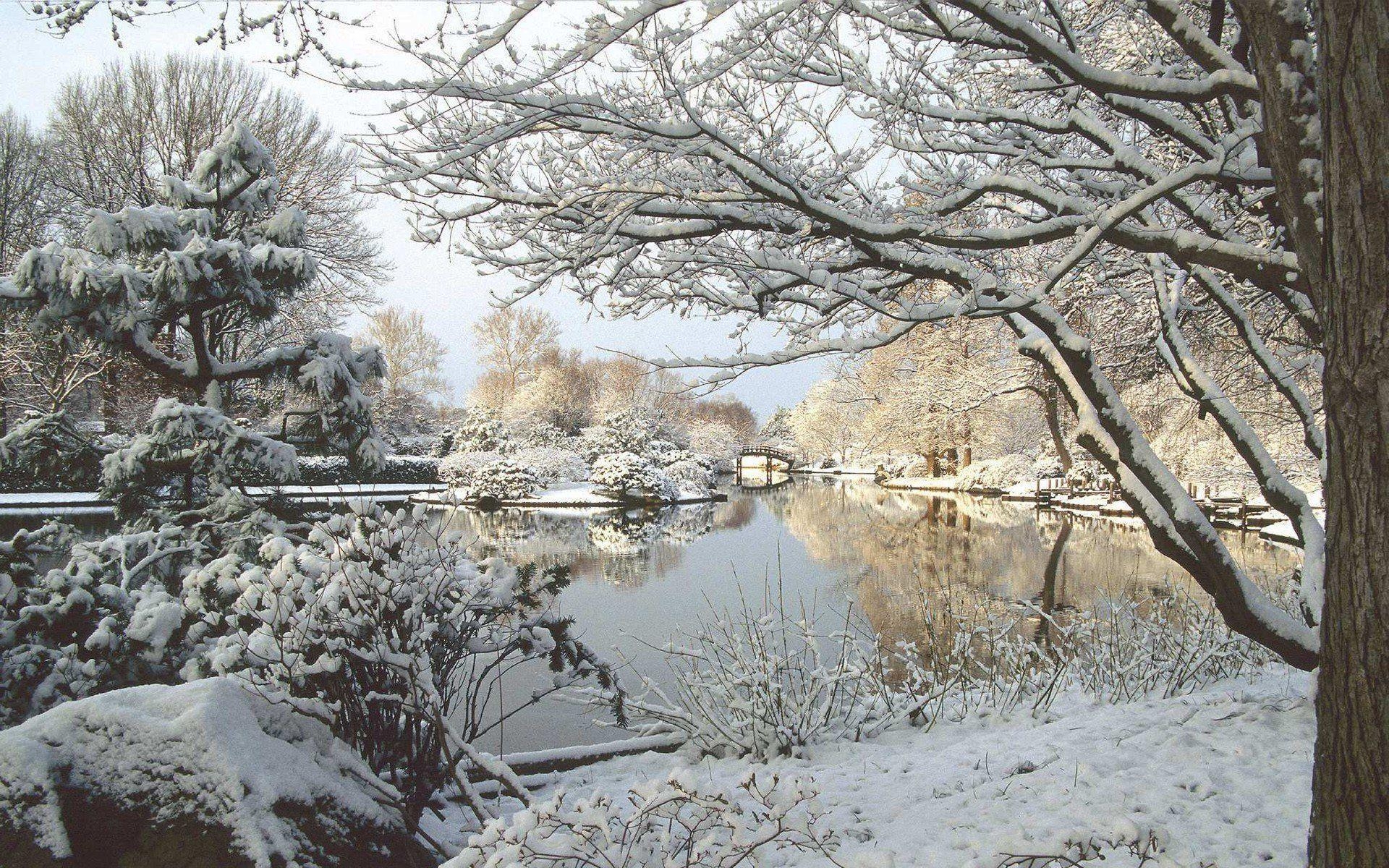 1920x1200 Winter In Missouri Botanical Garden Wallpaper, Desktop