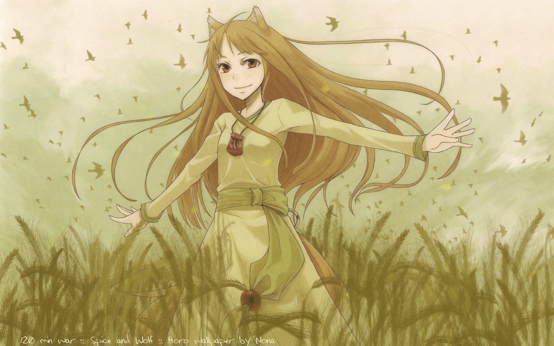 1920x1200 Spice And Wolf HD Wallpaper, Desktop