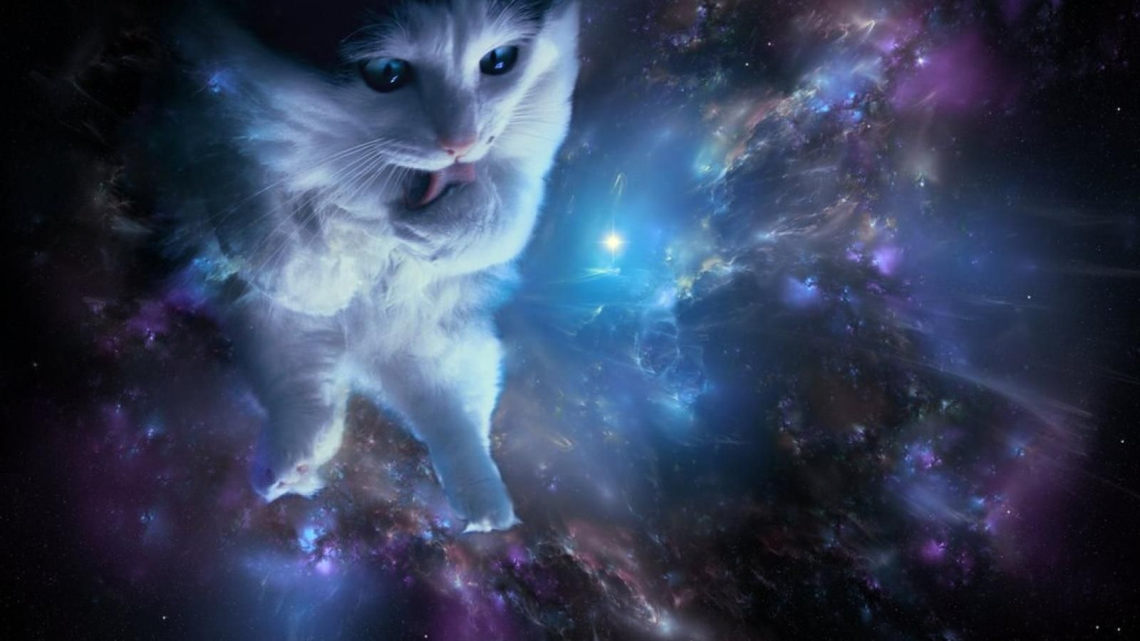 1600x900 Cats in Space Wallpaper Free Cats in Space Background, Desktop