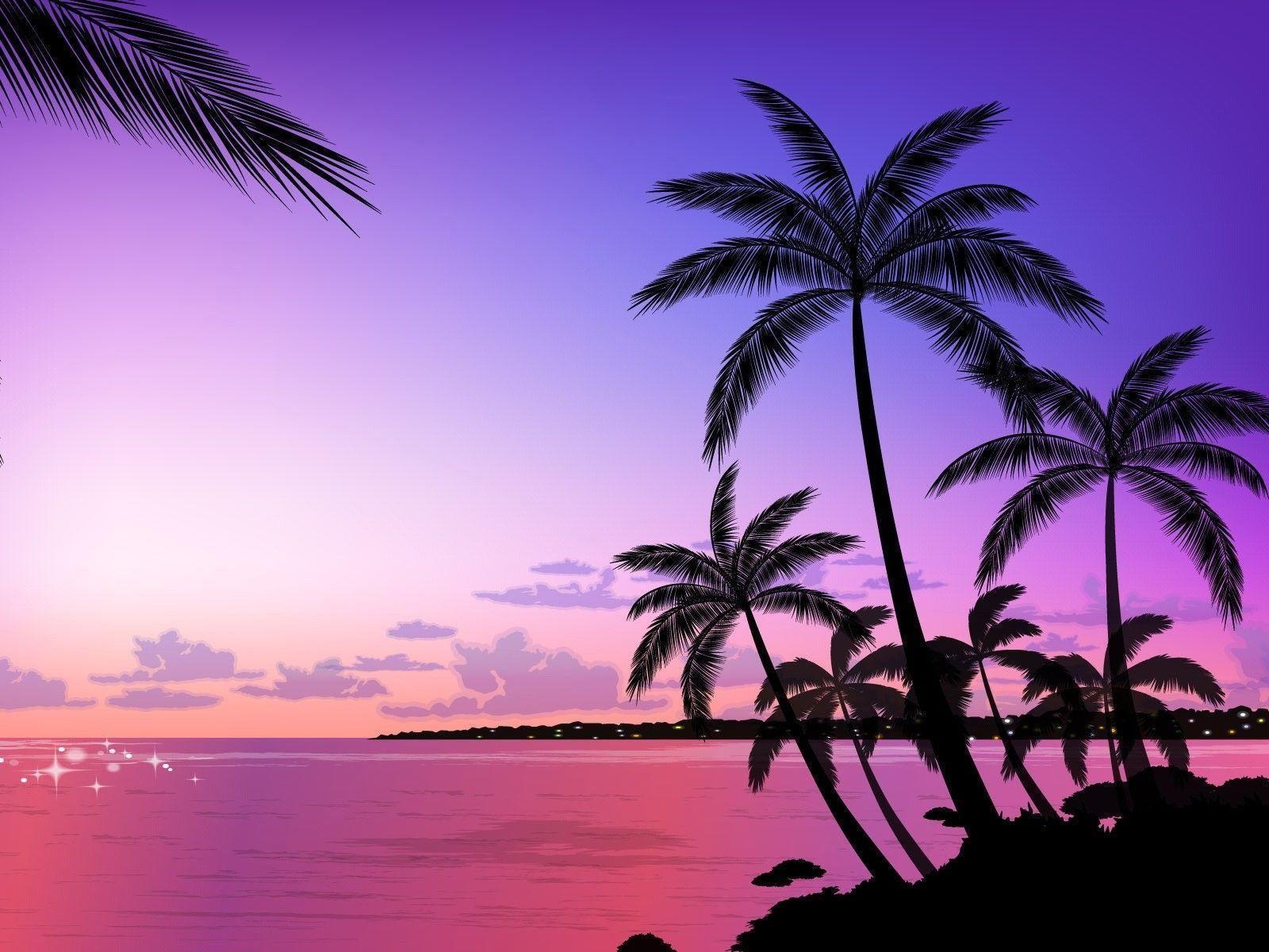 1600x1200 tropical palm tree wallpaper, Desktop