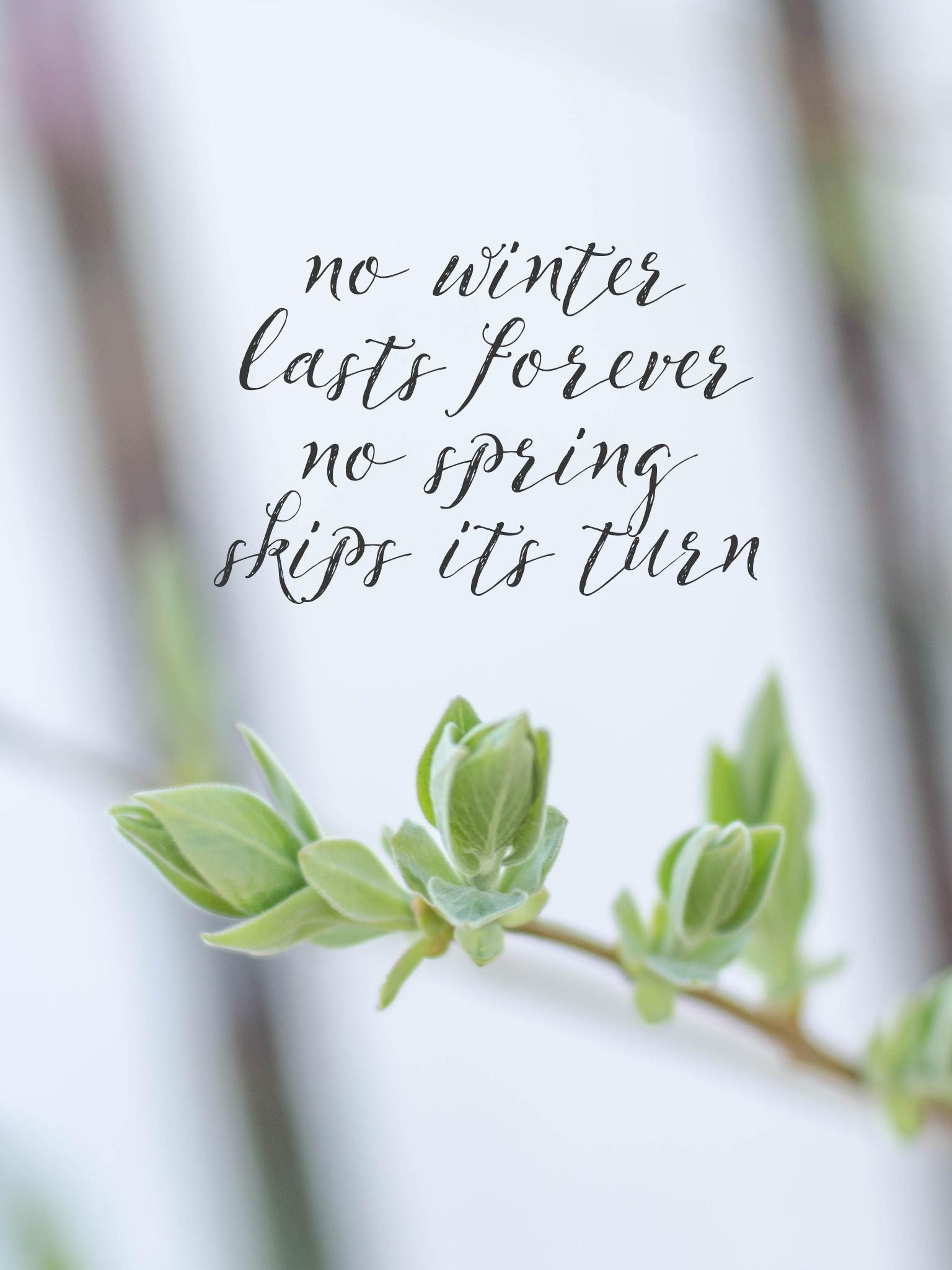 1540x2050 No Winter Lasts Forever- Spring Wallpaper are Here!, Phone