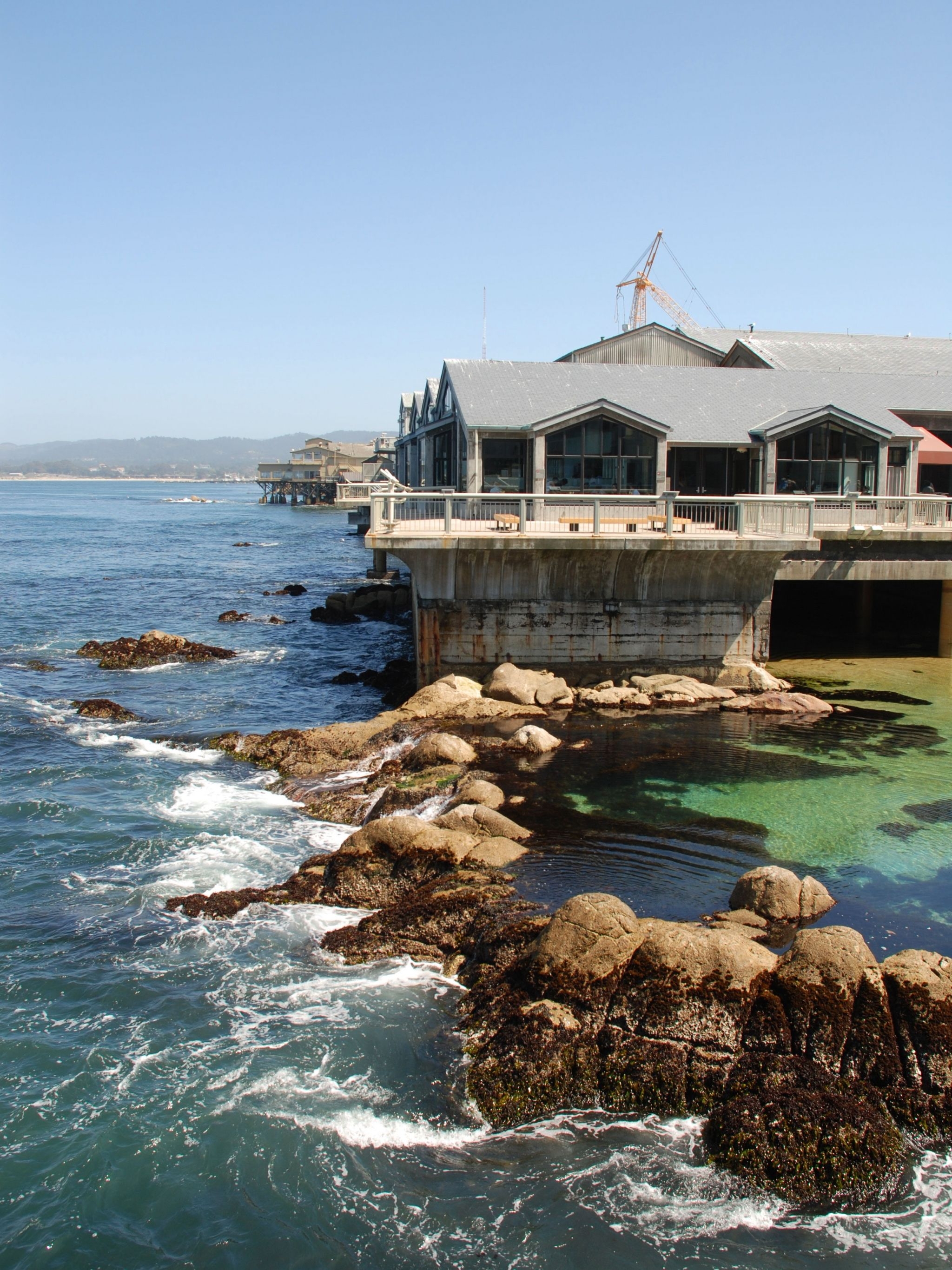 2050x2740 Free download Download Monthly Monterey Bay Aquarium HD Wallpaper, Phone