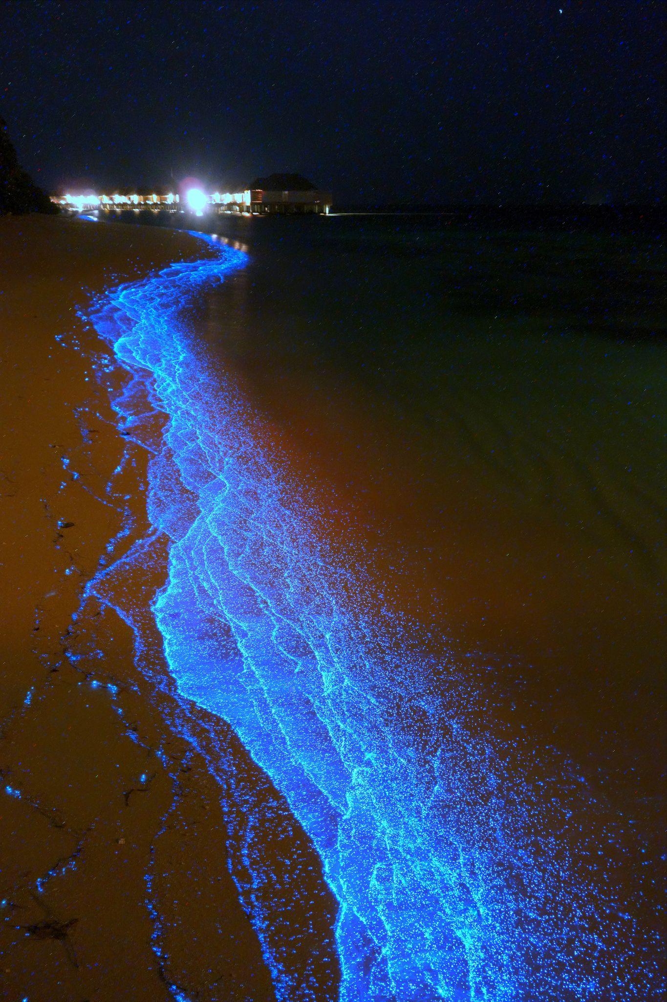 1370x2050 Bioluminescent phytoplankton beach, Dusit Thani, Mudhdhoo Island, Phone