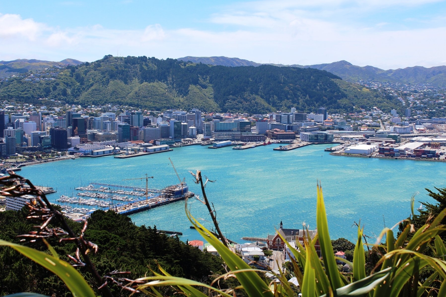 1800x1200 HD Wellington New Zealand Wallpaper and Photo. HD Travelling, Desktop