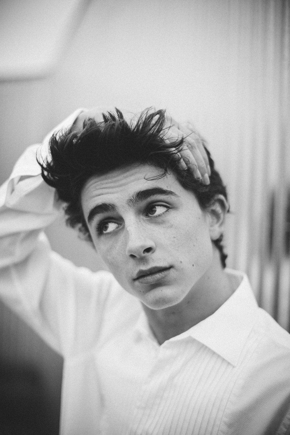 1000x1500 Timothee Chalamet wallpaper, Phone