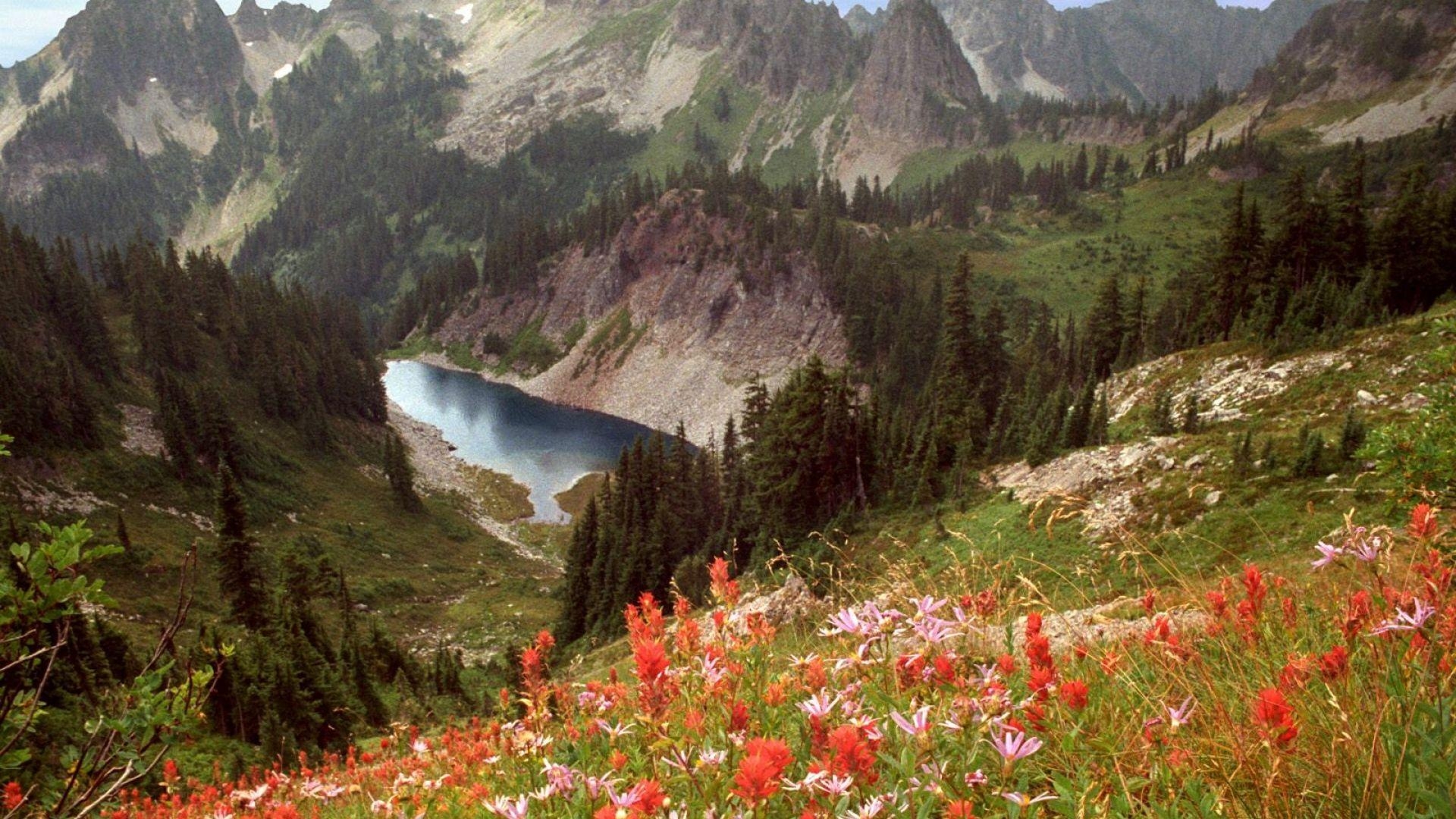 1920x1080 Download Wallpaper  cliff lake, idaho, mountains, flowers, Desktop