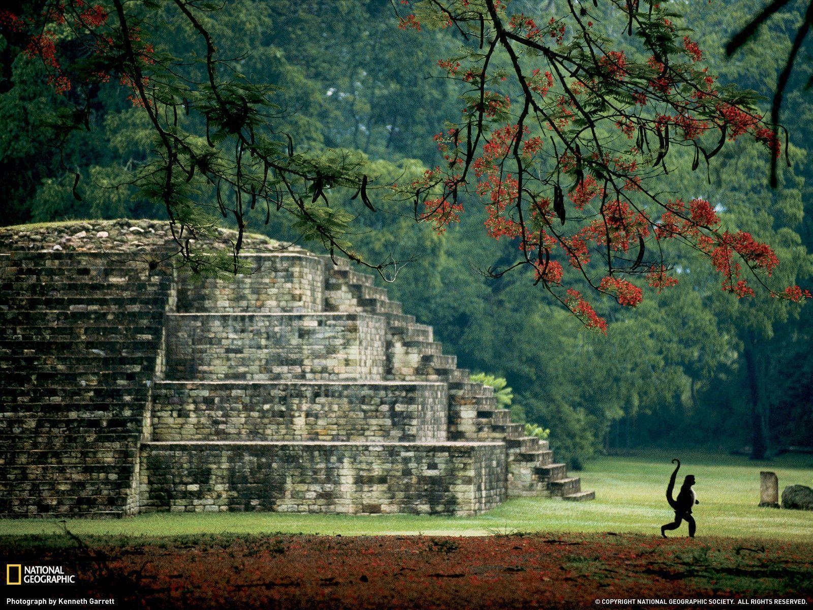 1600x1200 Maya Tomb, Honduras, Desktop