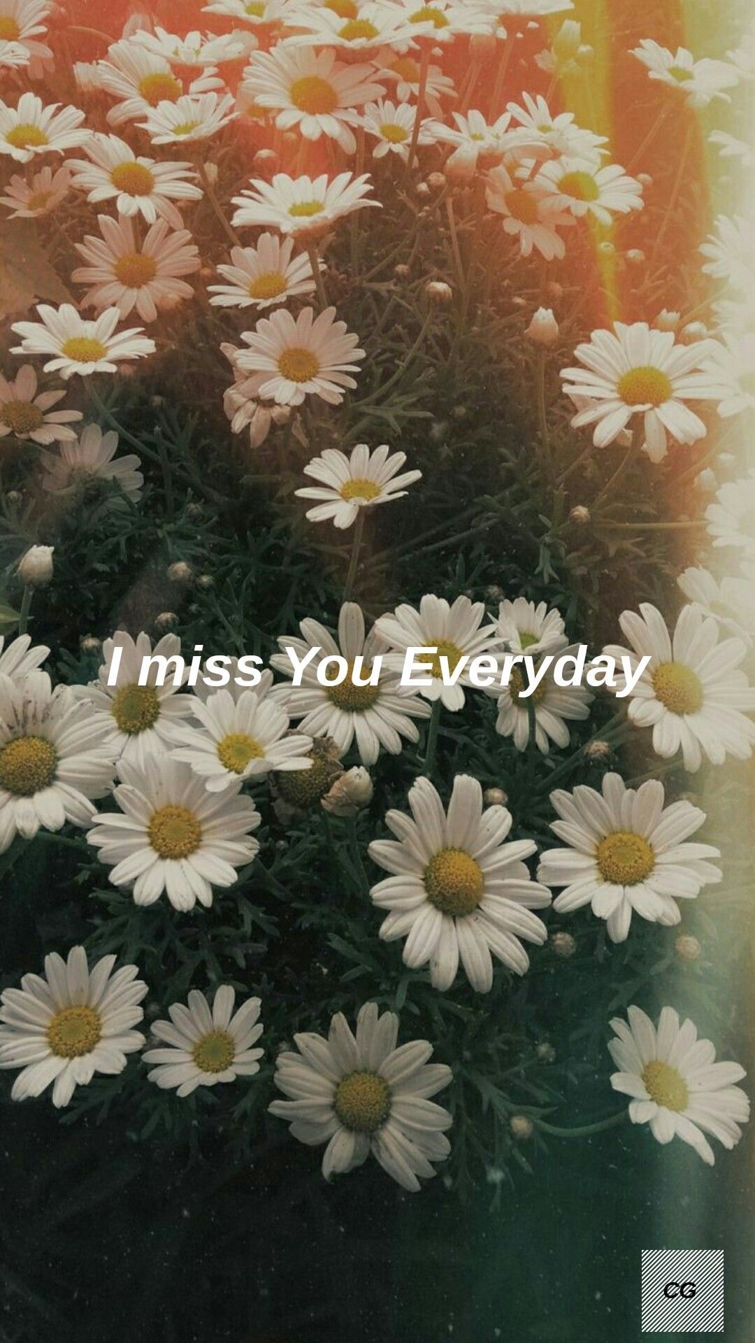 1080x1920 Aesthetic Daisies Wallpaper.teahub.io, Phone