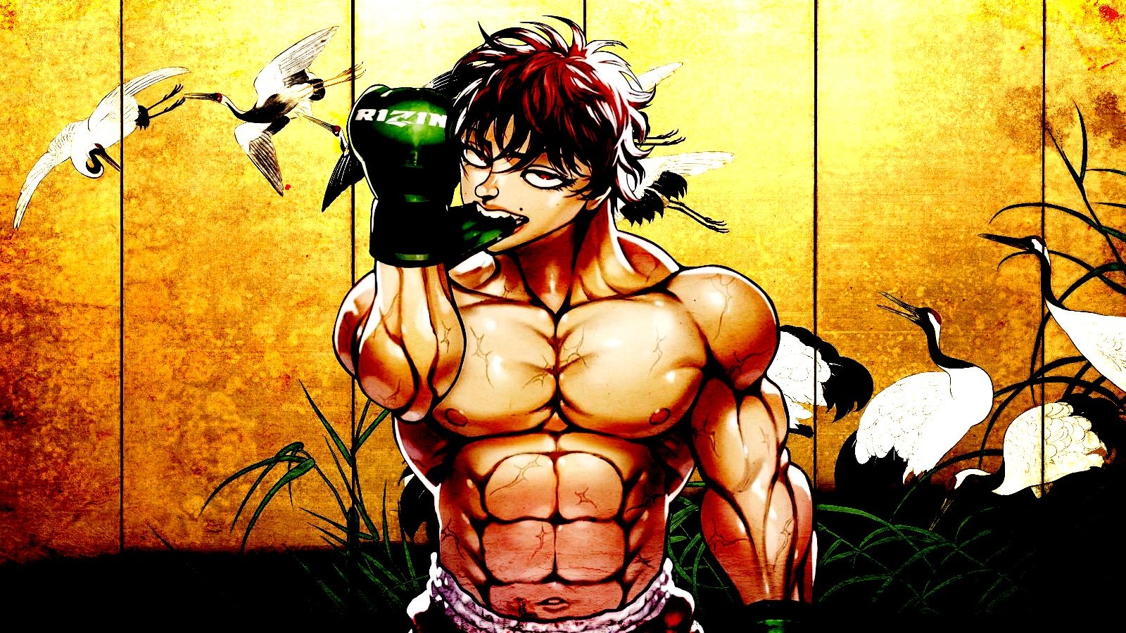 1600x900 Baki The Grappler Wallpaper, Desktop