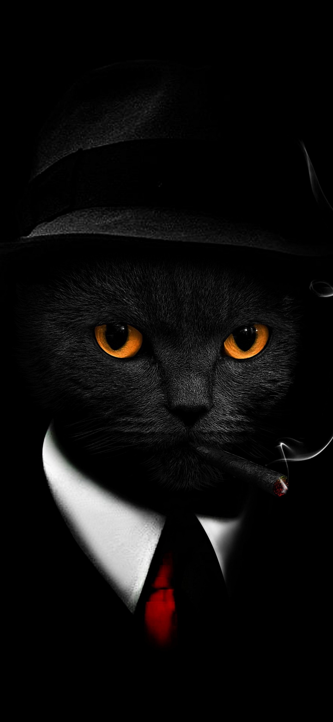 1130x2440 Black Cat Wallpaper 4K, Black background, Hat, Suit, Phone