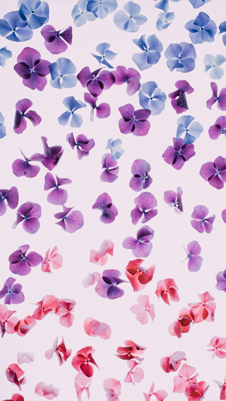 740x1310 iphone wallpaper , purple, violet, lavender, pink, lilac, Phone