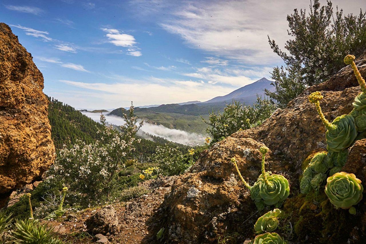 1280x860 Canary Islands Spain Tenerife Nature Sky, Desktop