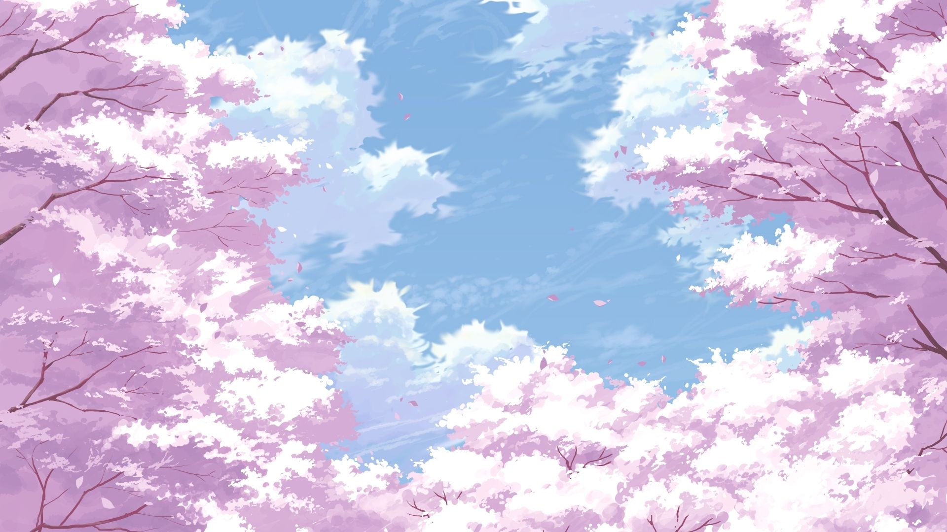 1920x1080 Sakura Blossom, Petals, Scenery, Sky, Cherry Blossom, Desktop