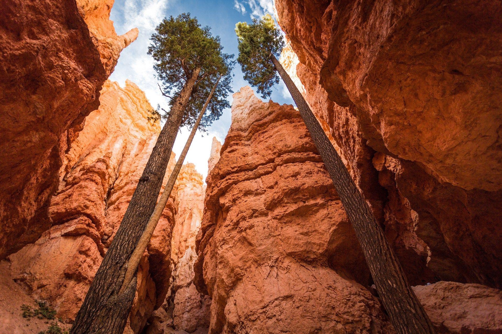 1920x1280 high resolution wallpaper widescreen bryce canyon national park, Desktop