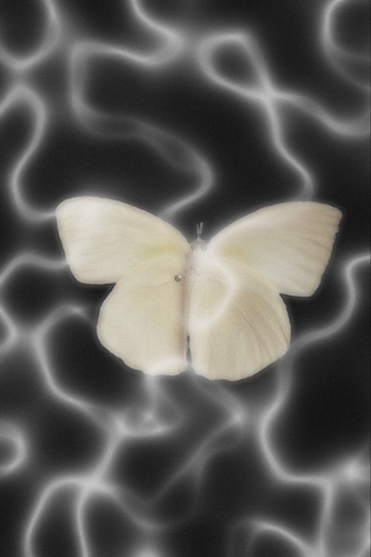 740x1110 Y2K BUTTERFLY LIGHTING WALPAPER. Butterfly lighting, Screen wallpaper, Wallpaper, Phone