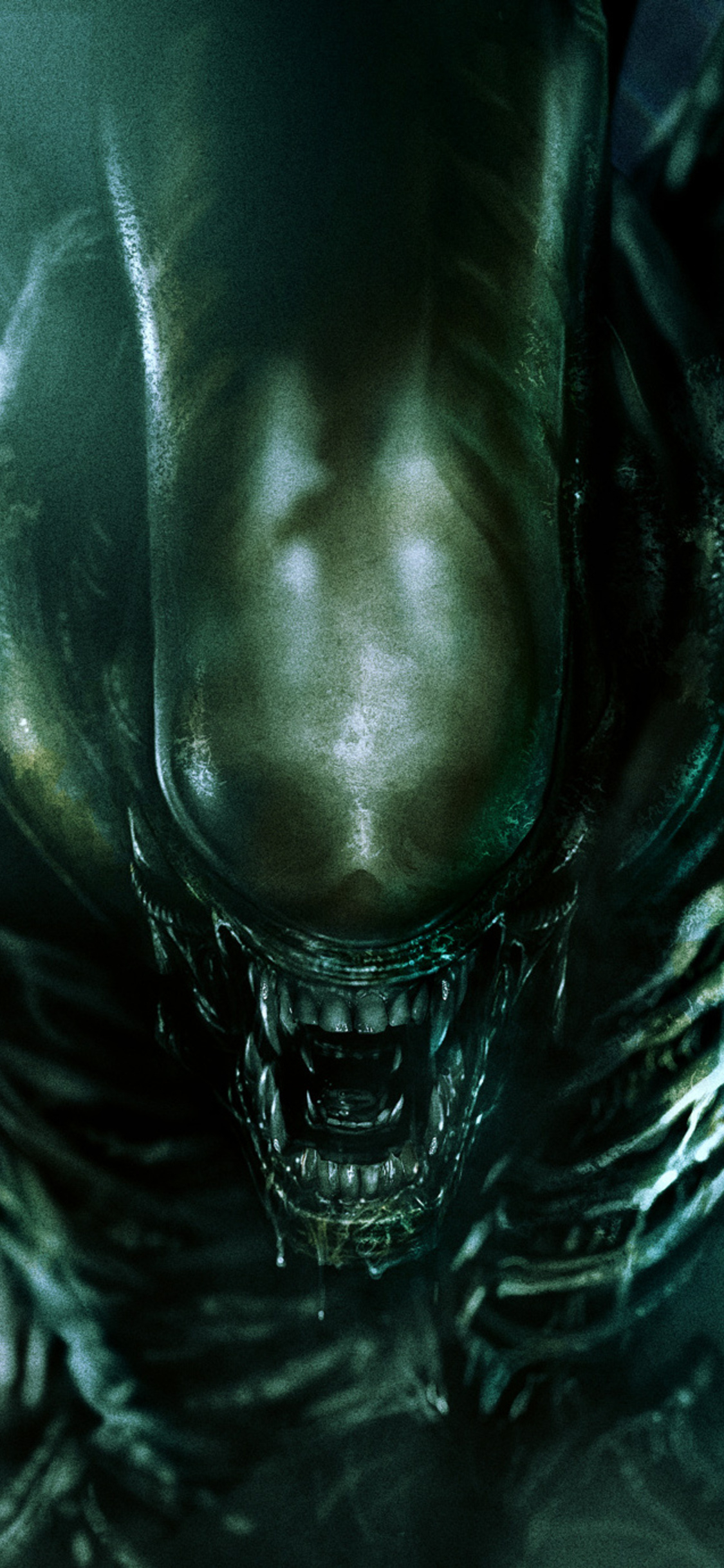 1130x2440 Alien iPhone XS, iPhone 10, Phone