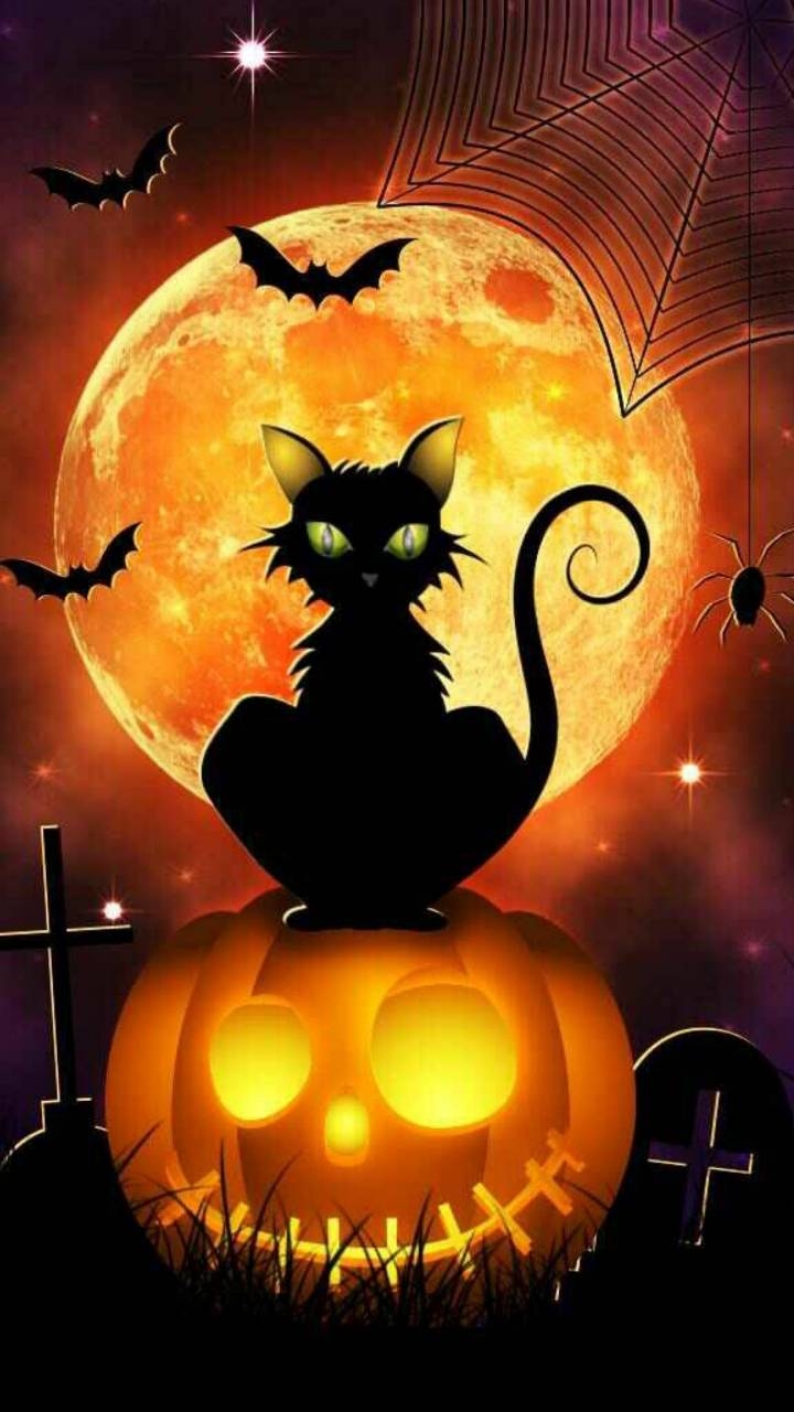 720x1280 Halloween Cat Wallpaper, Phone