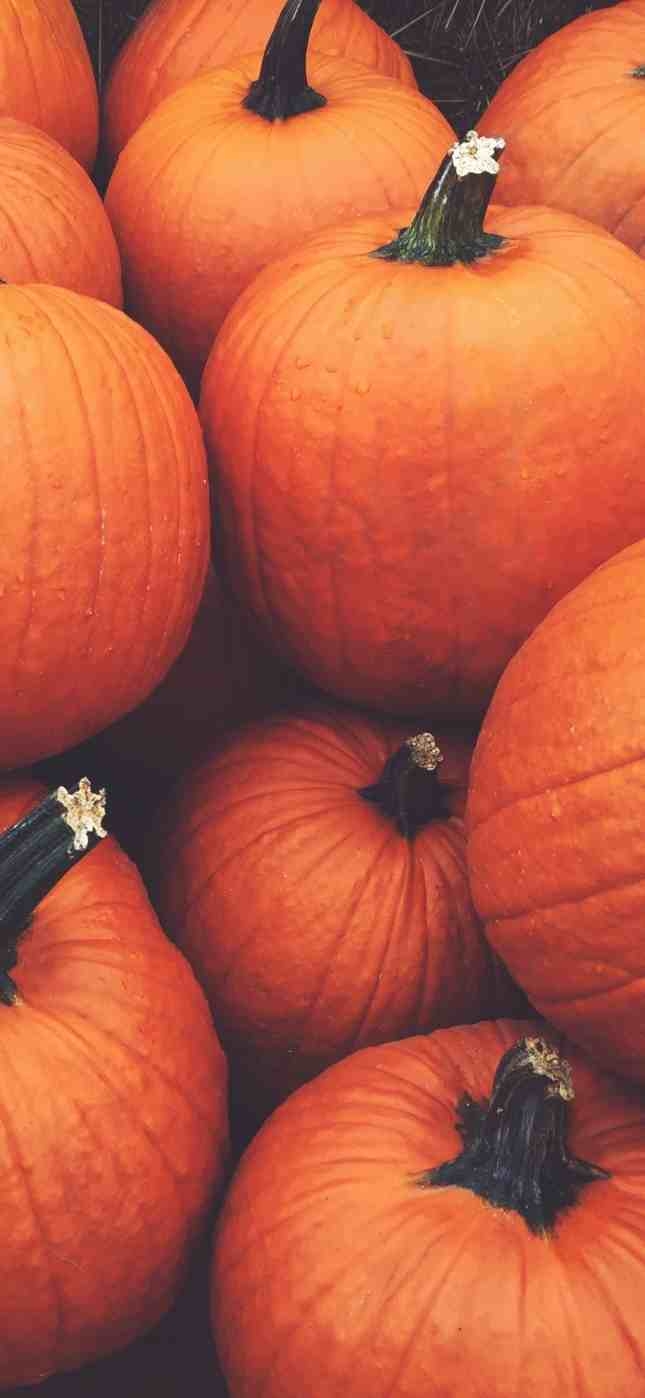 650x1400 Free Halloween IPhone Wallpaper For Your Spooky Aesthetic, Phone