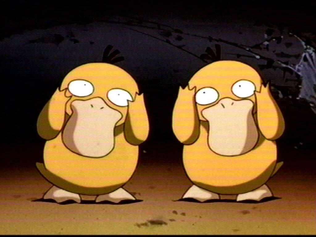 1030x770 Psyduck image Psyduck HD wallpaper and background photo, Desktop