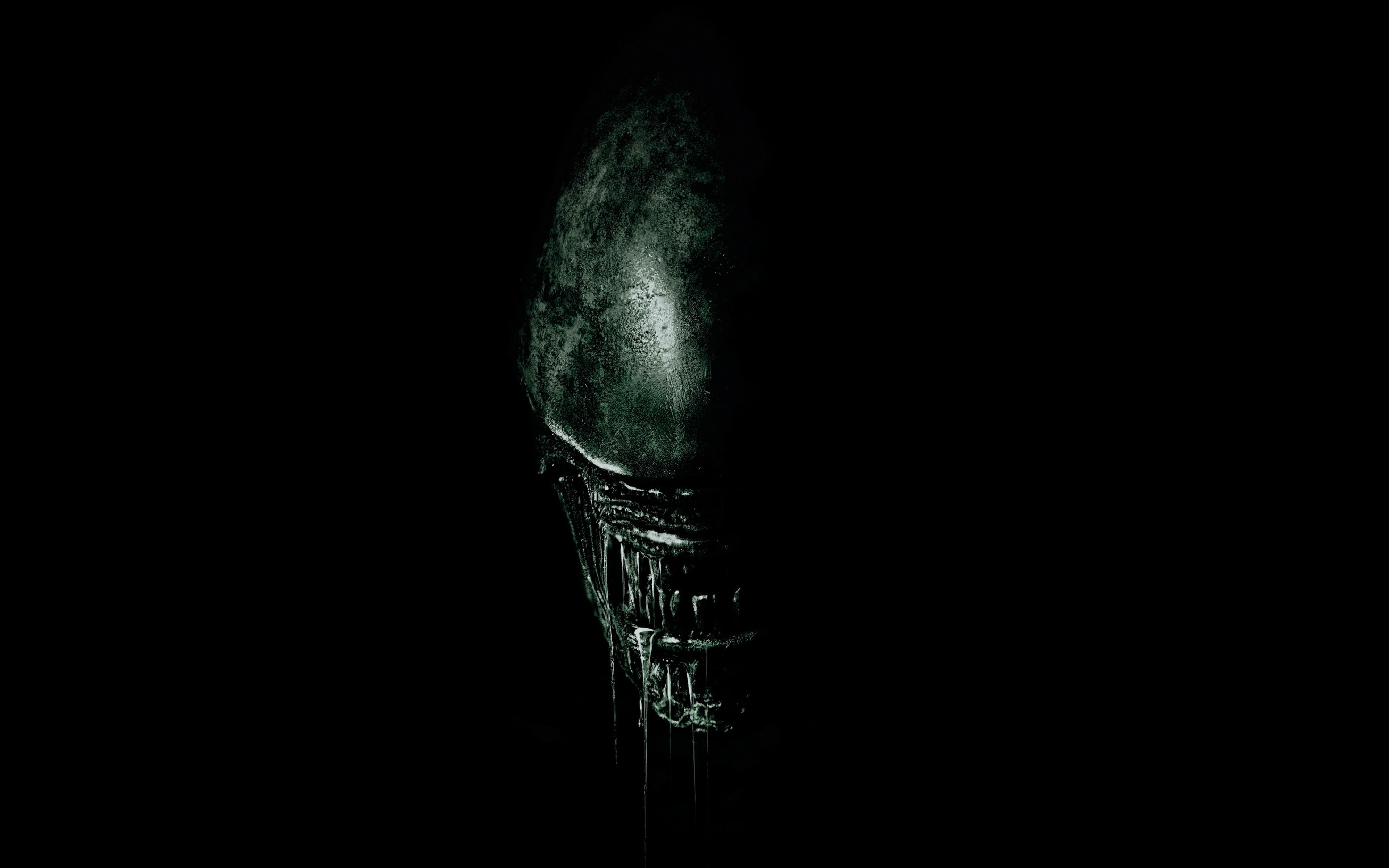 4000x2500 Alien 4K Wallpaper Free Alien 4K Background, Desktop