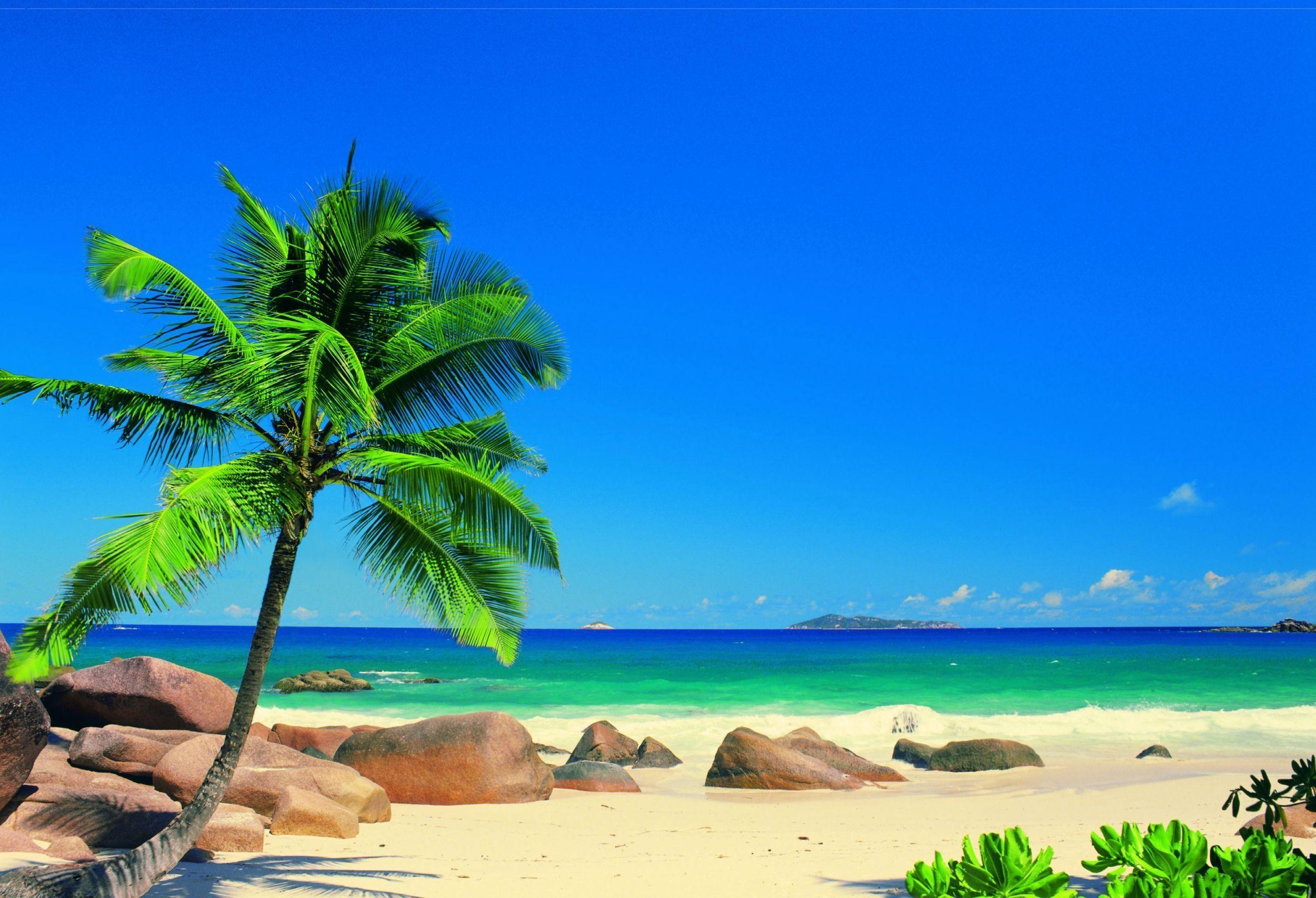 2500x1710 Download These 42 High Res Caribbean Wallpaper Background Here For Free, Desktop