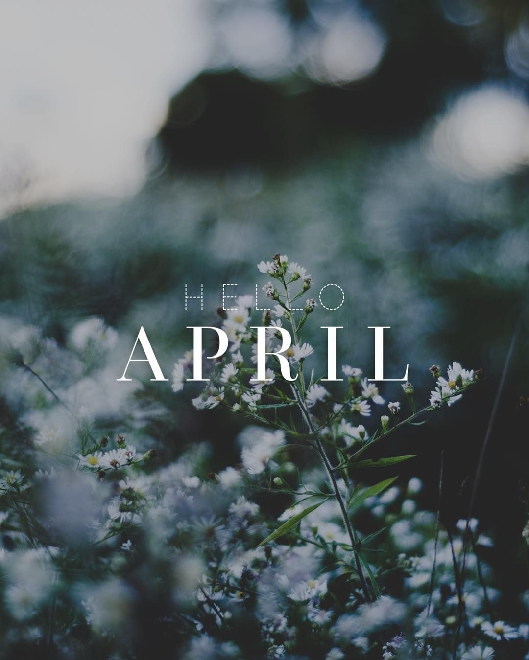 1080x1350 Hello April! Please be good to us. #PicLab. Spring wallpaper, Phone