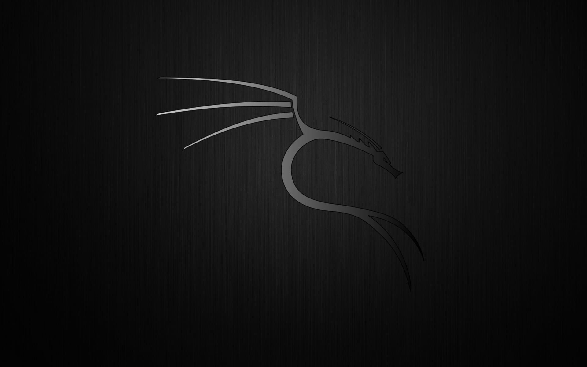 1920x1200 Download Kali Linux Wallpaper (Free), Desktop