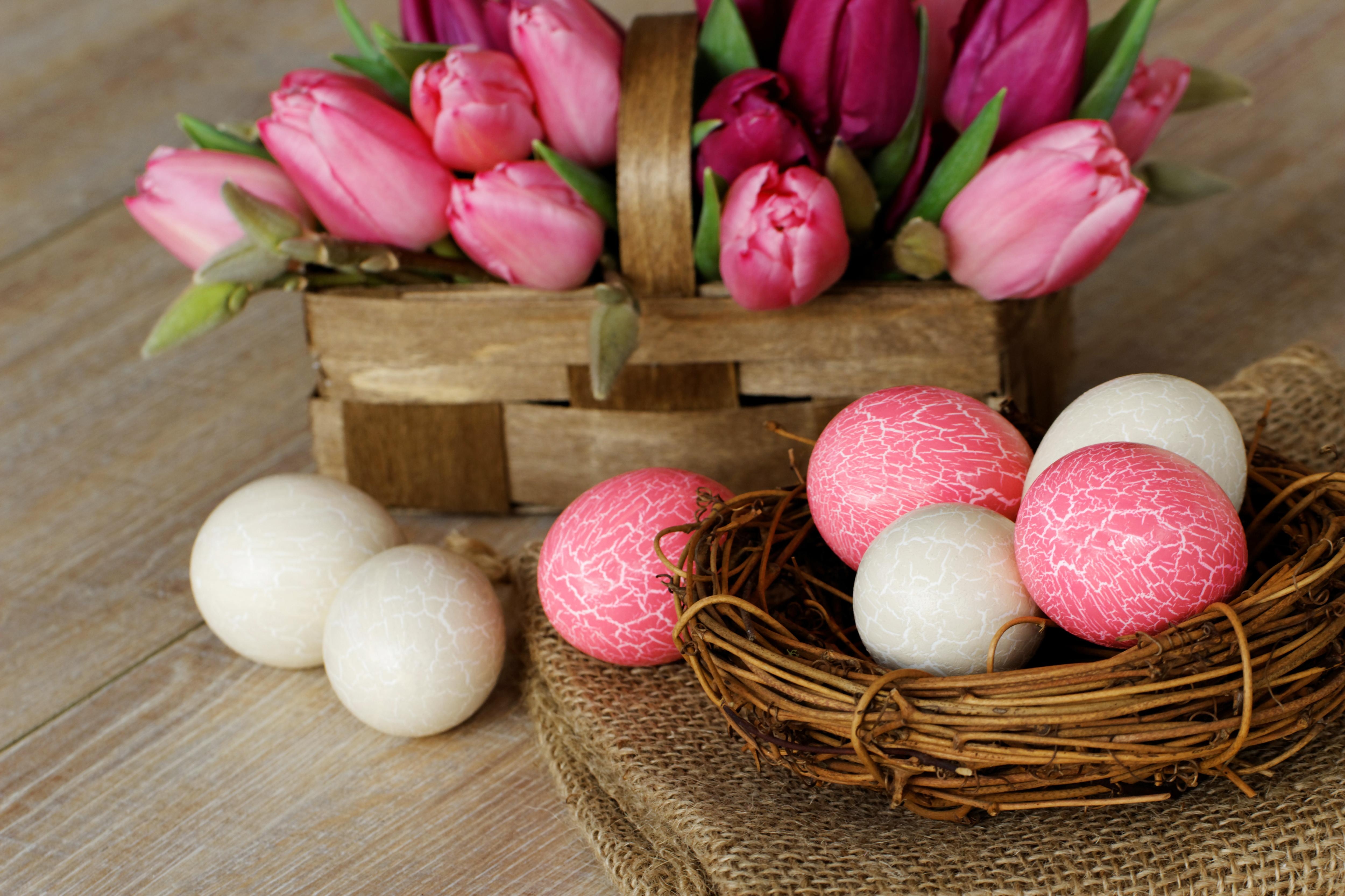 5000x3340 Easter Background with Tulips Basket, Desktop