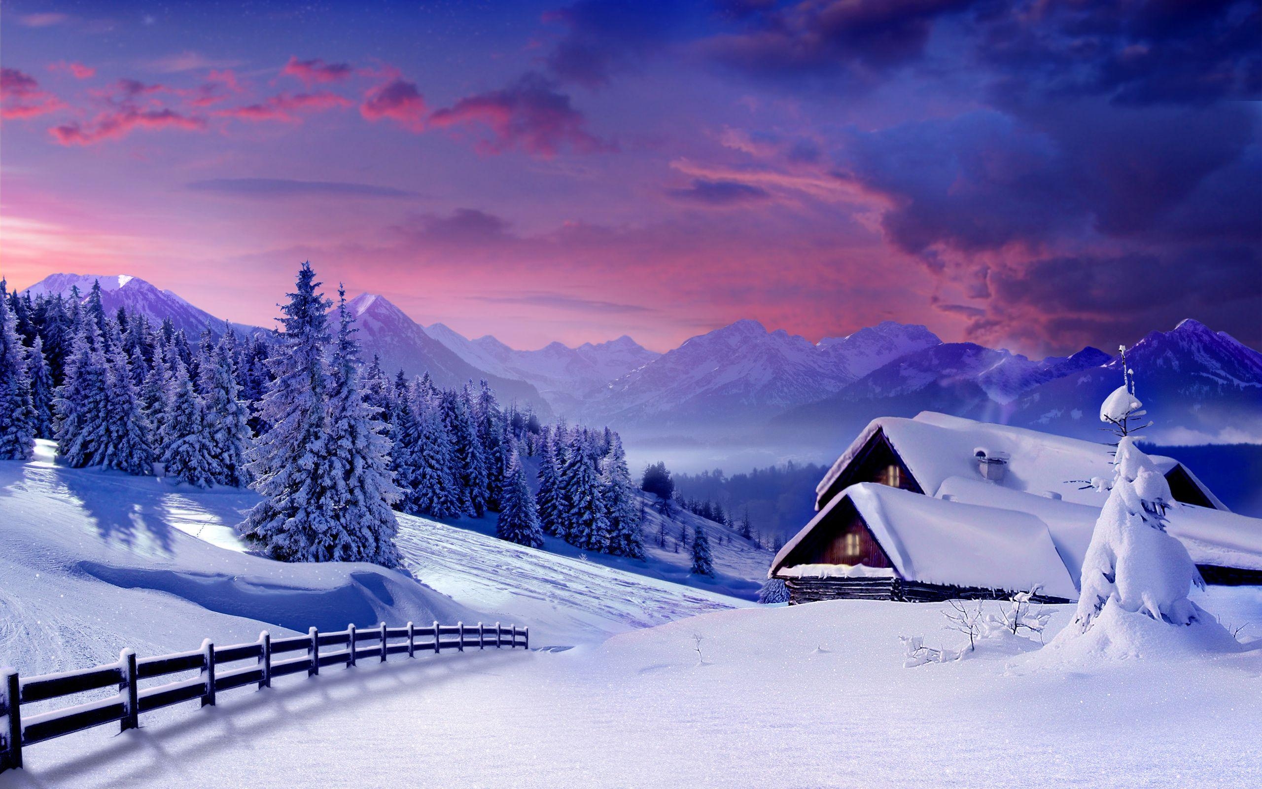 2560x1600 Winter Wallpaper HD, Desktop