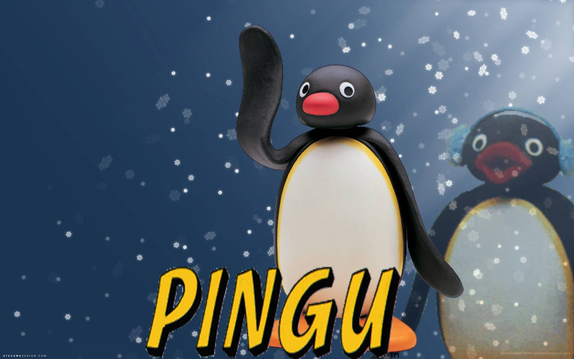 1920x1200 Pingu HD Wallpaper Android Application, Desktop