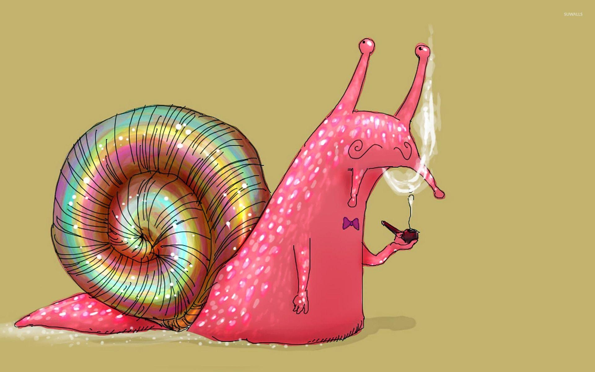 1920x1200 Pipe Smoking snail wallpaper wallpaper, Desktop