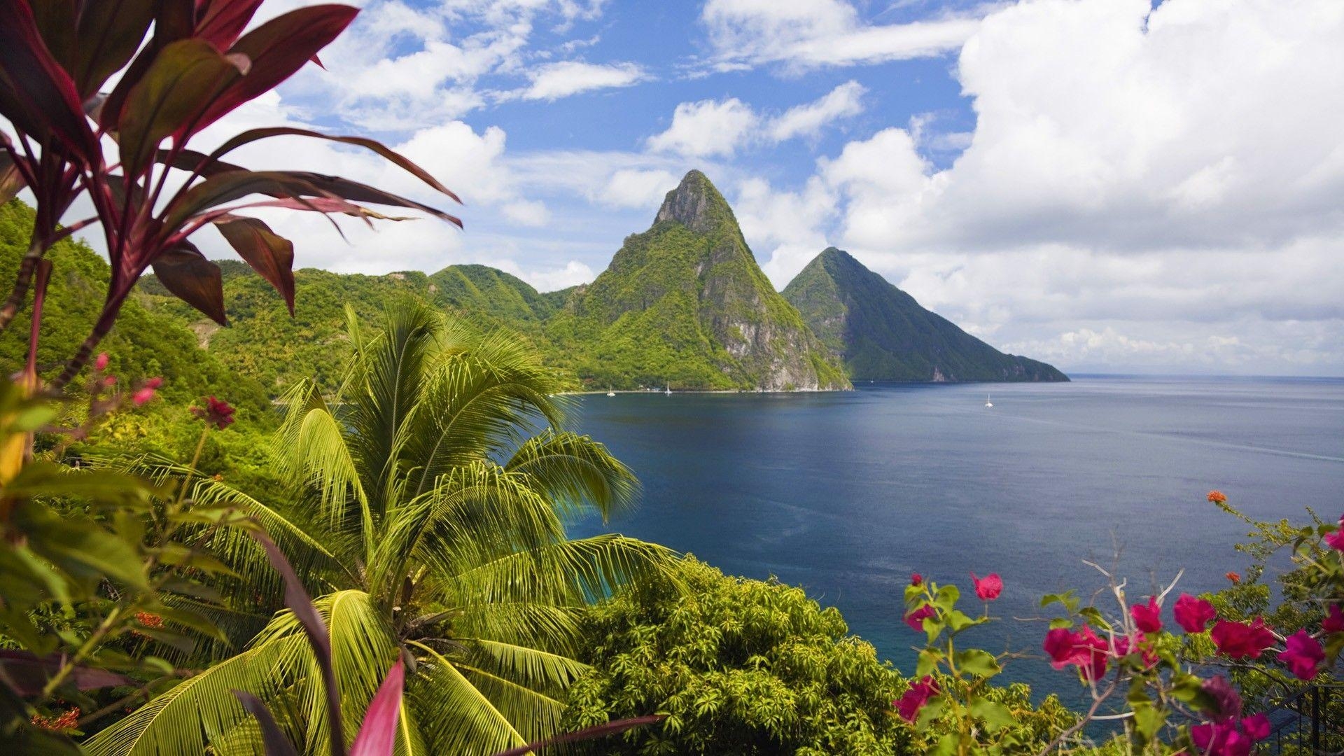 1920x1080 Palm trees bay sea saint lucia wallpaperx1080, Desktop