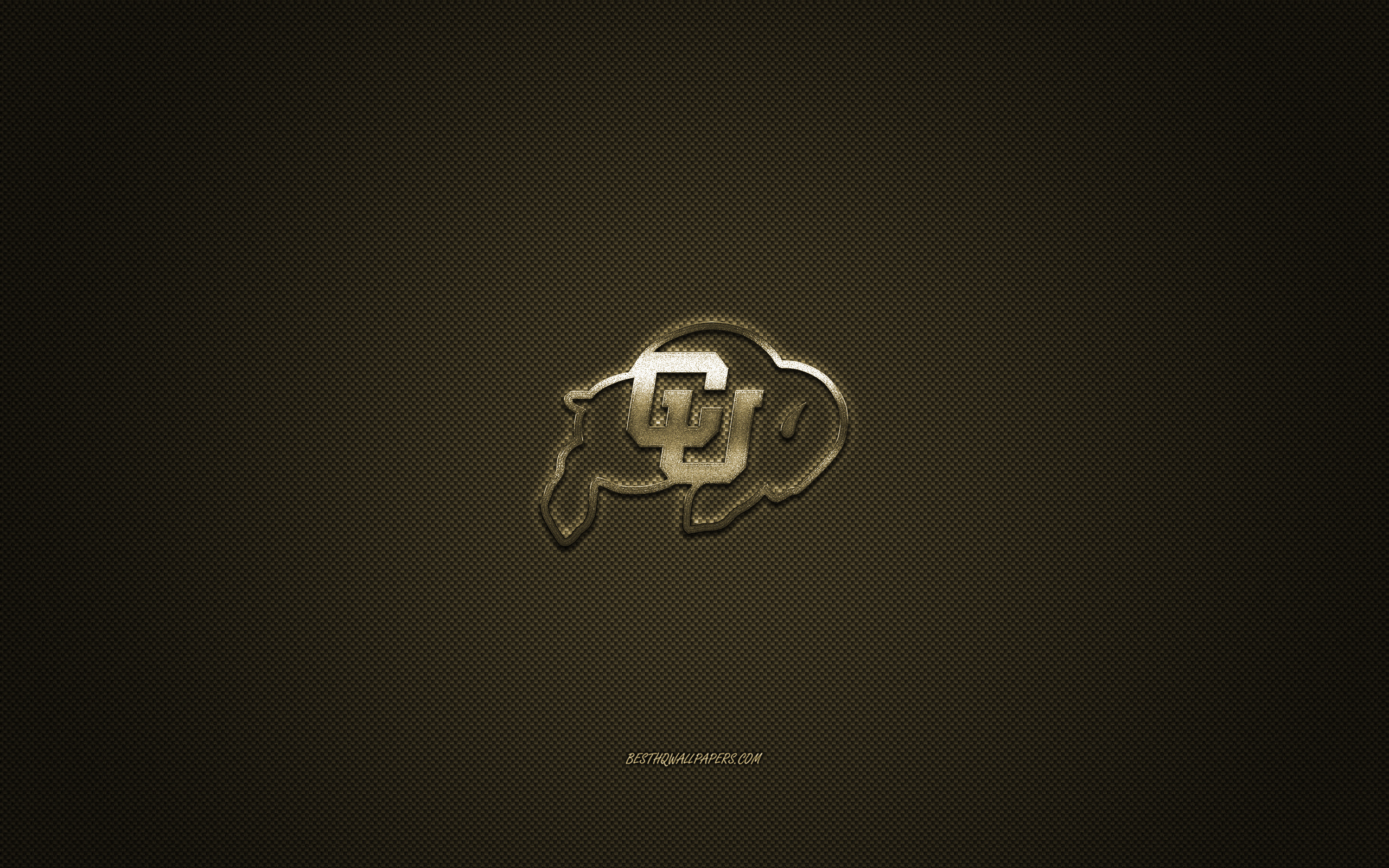 2560x1600 Download wallpaper Colorado Buffaloes logo, American football club, NCAA, golden logo, golden carbon fiber background, American football, Boulder, Colorado, USA, Colorado Buffaloes, University of Colorado for desktop with resolution. High, Desktop