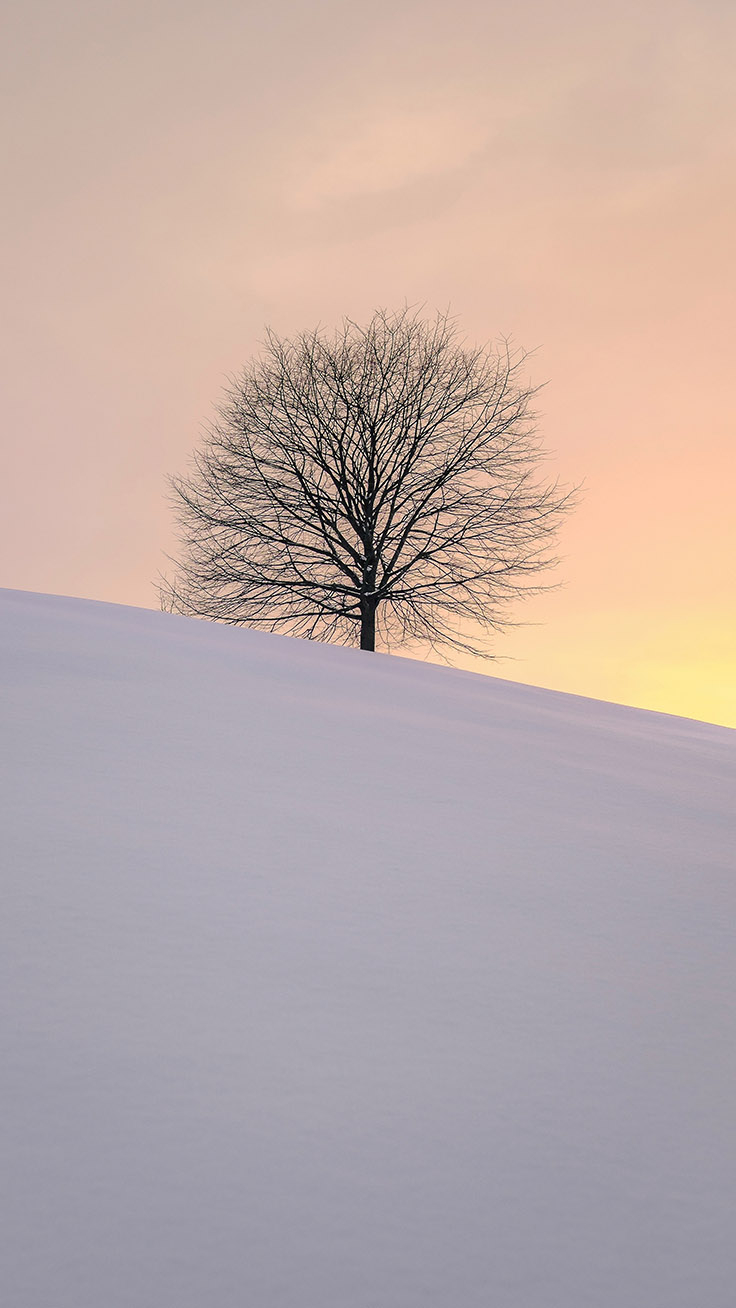 740x1310 x Winter Landscapes iPhone Wallpaper Collection, Phone