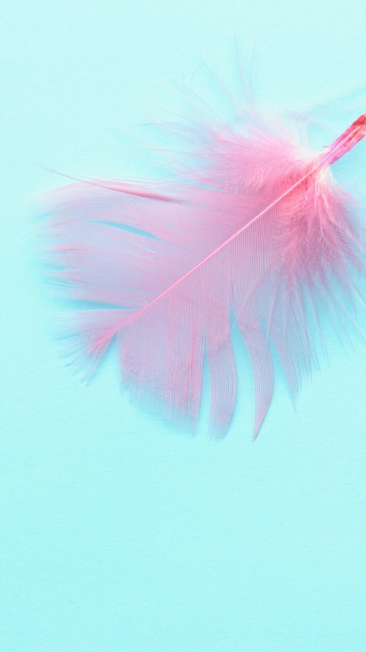 720x1280 art, background, beautiful, beauty, blue, design, fashion, fashionable, girly, inspiration, kawaii, leather, luxury, pastel, pattern, pretty, wallpaper, wallpaper, we heart it, woman, cute, Phone