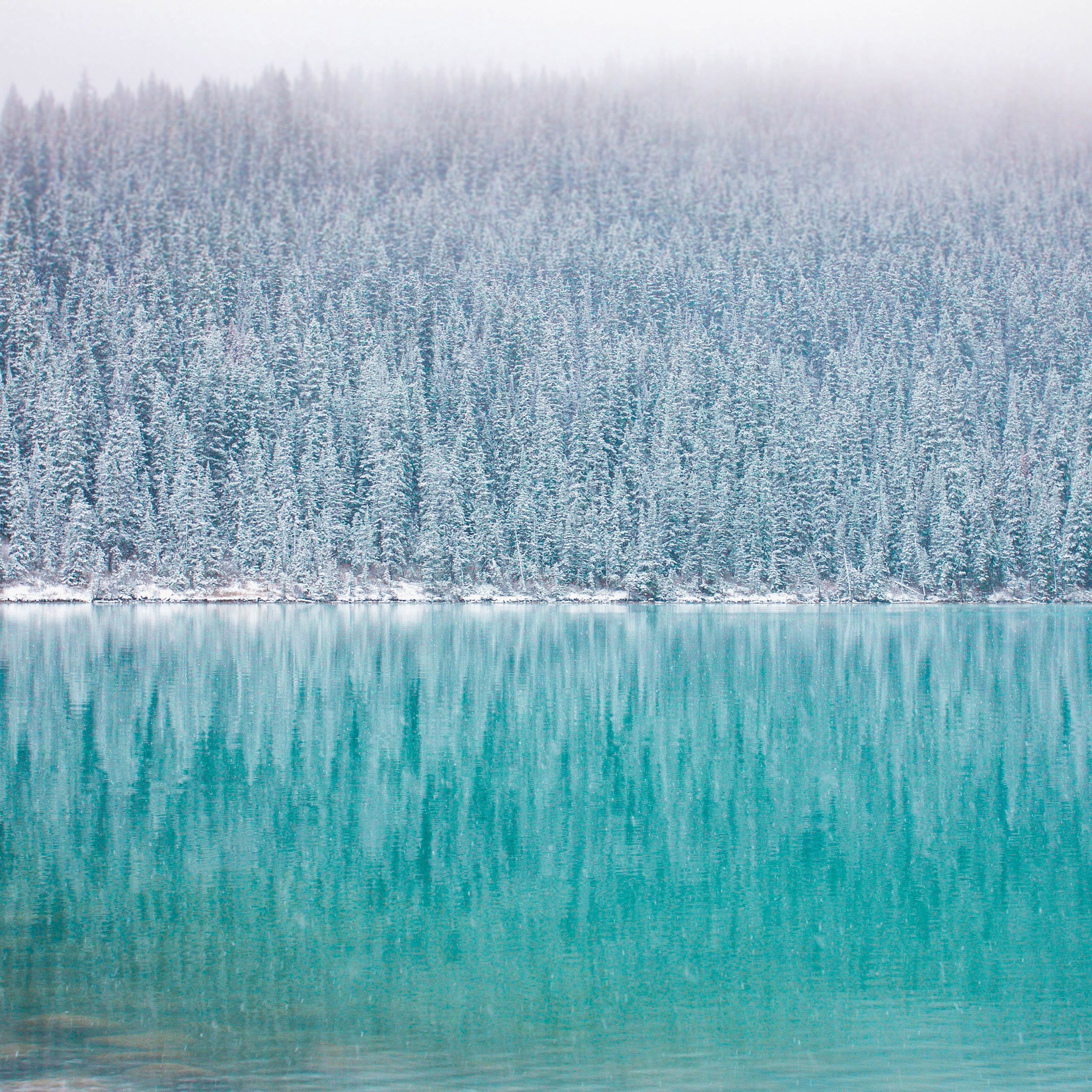 2740x2740 Winter wallpaper pack for iPad, iPhone, and desktop, Phone