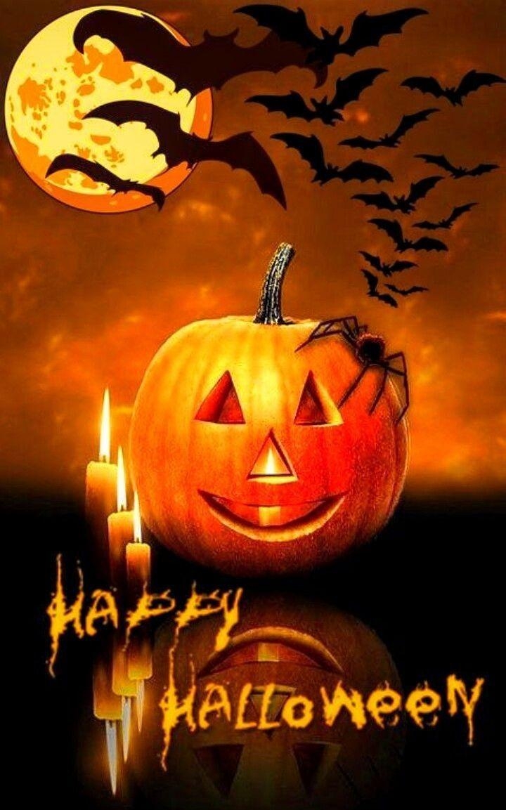 720x1160 Halloween Live Wallpaper, Halloween Background, Holiday, Phone