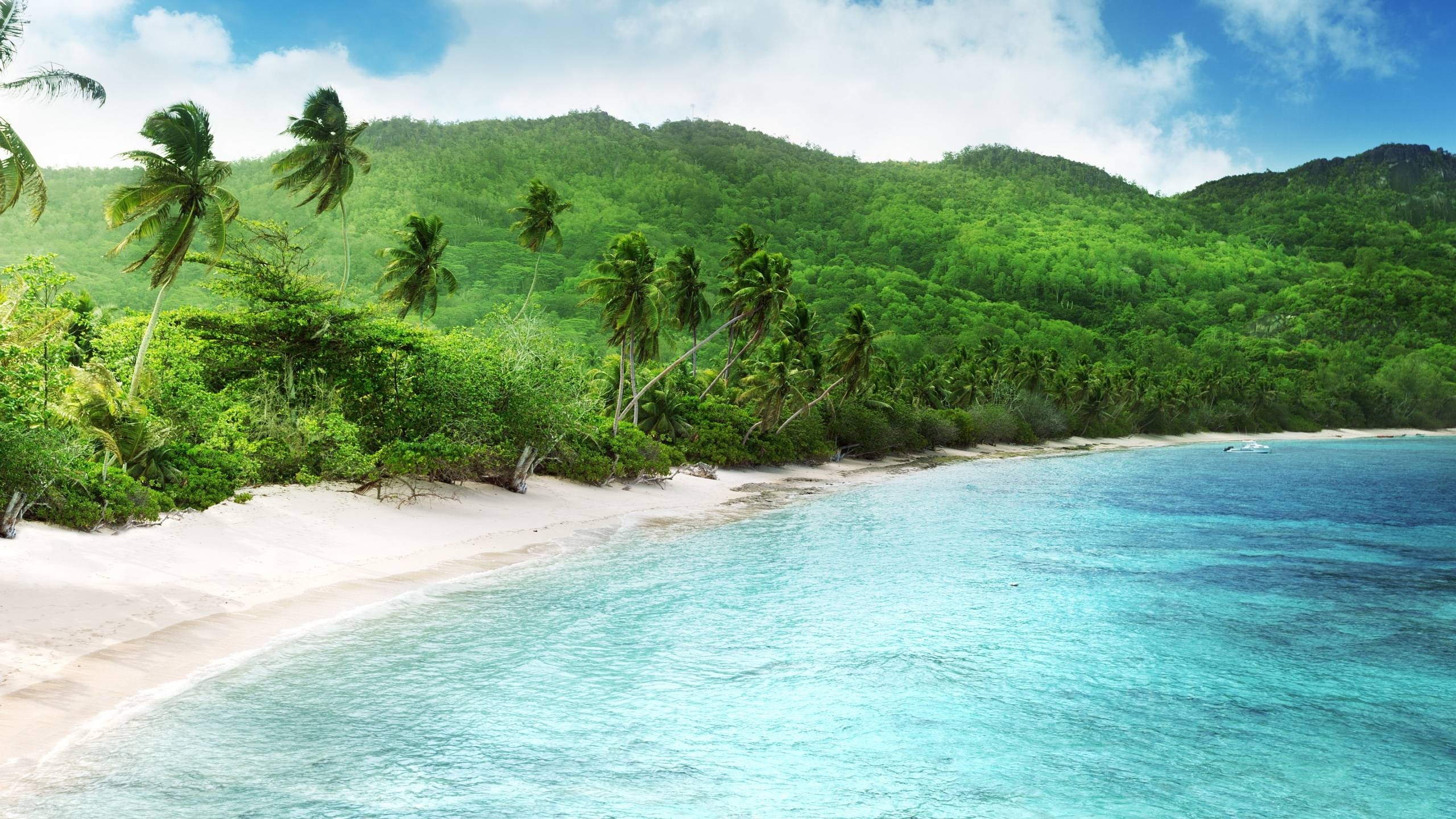 2560x1440 Tropical beach seychelles Wallpaper, Desktop